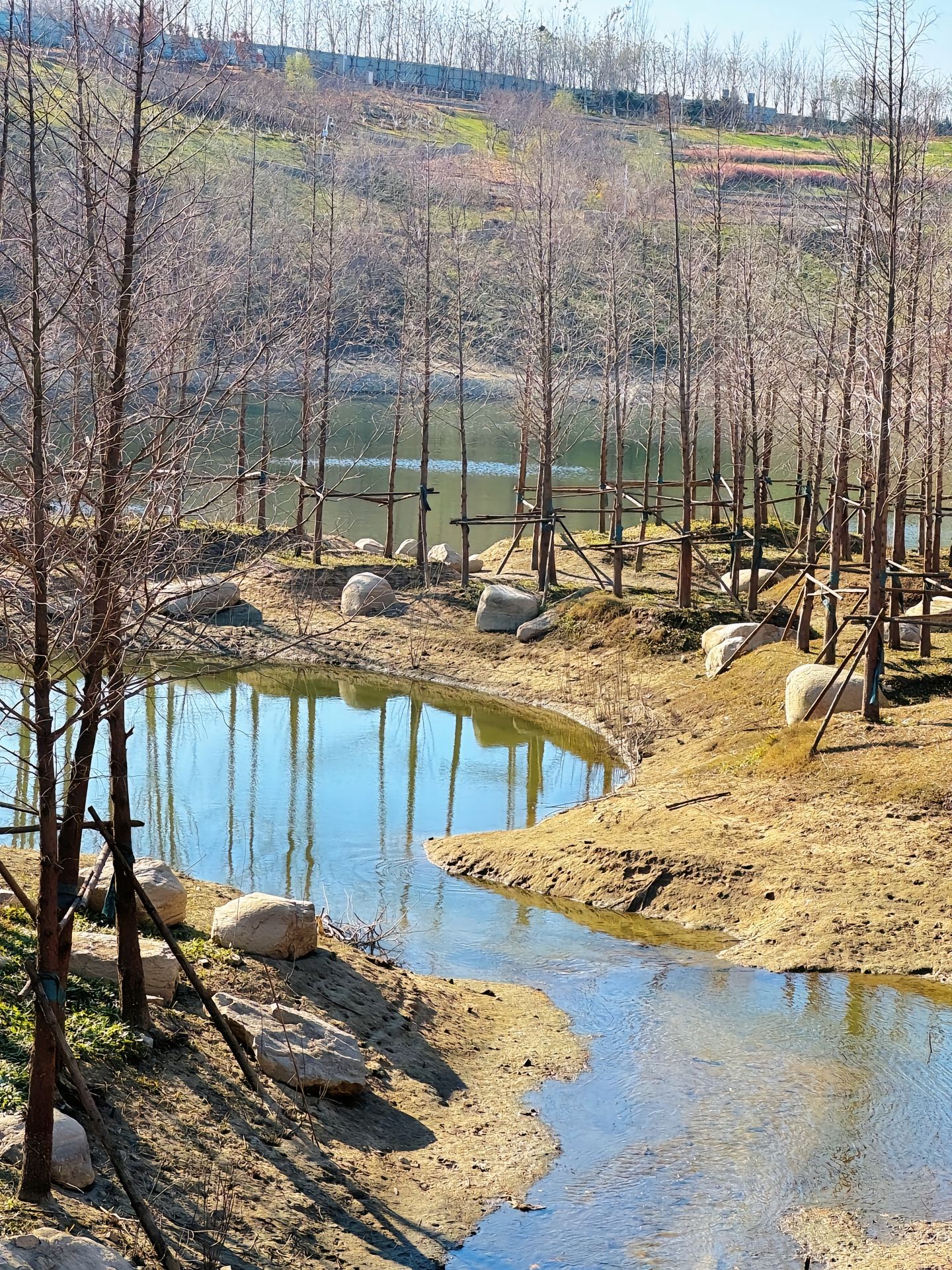 石家庄市火车站西广场绿地旅行图片 3