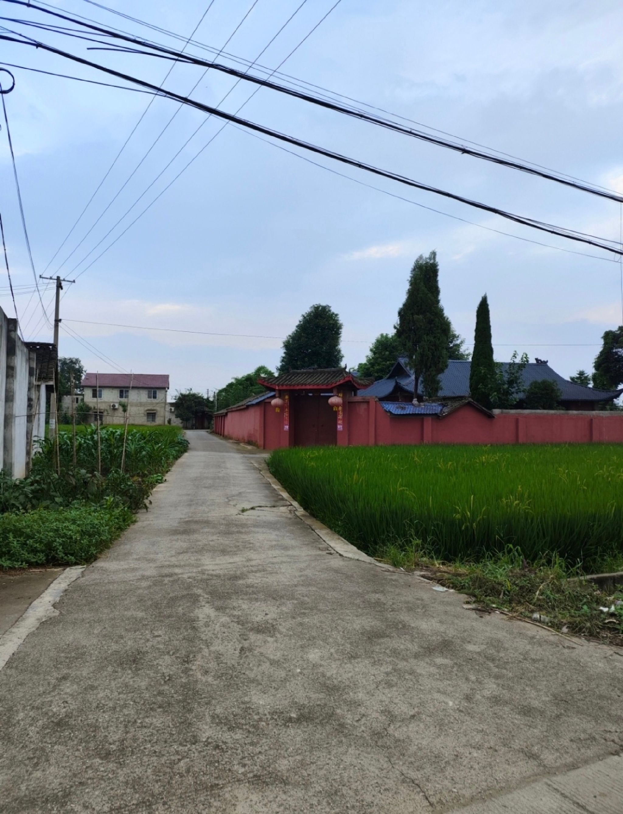 牛王庙旅行图片 3