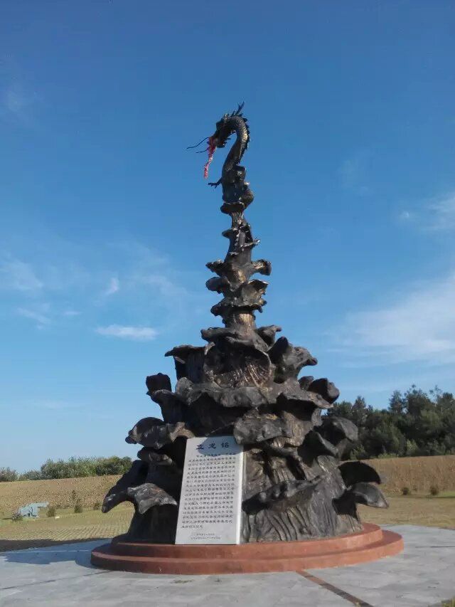 塔河县开库康镇黑龙广场旅行图片 2