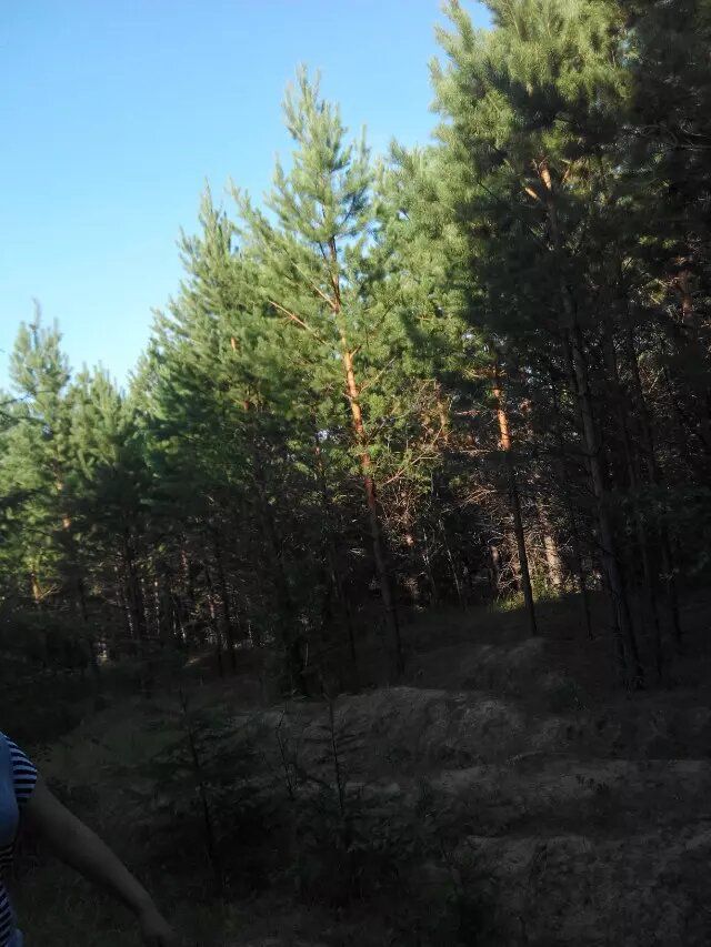 塔河县开库康镇黑龙广场旅行图片 3