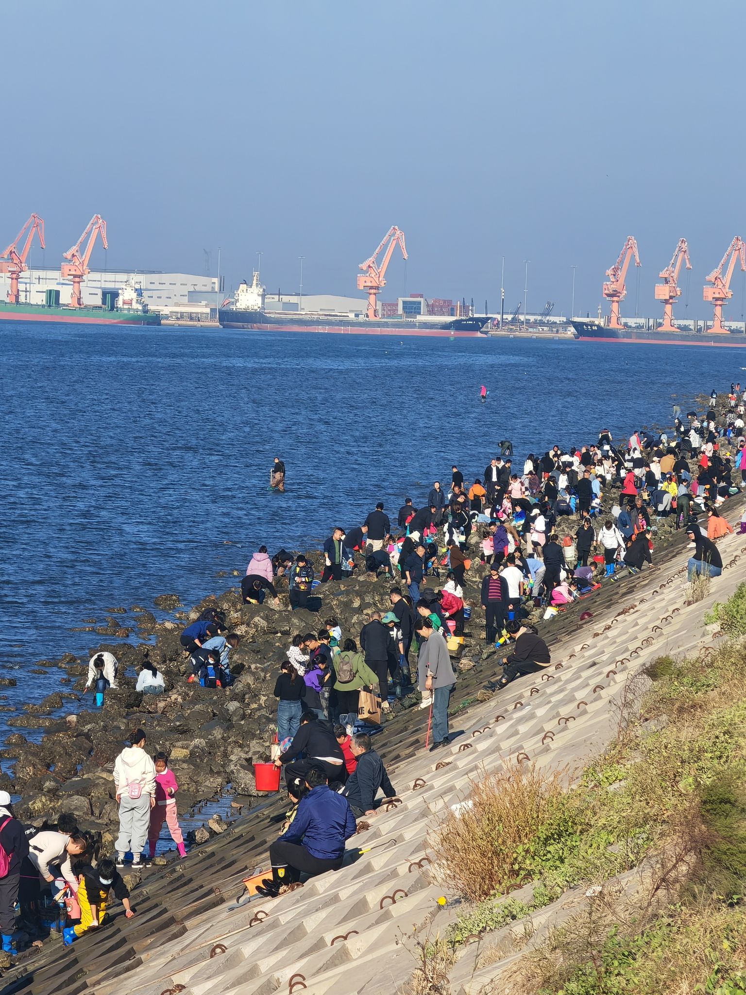 曹妃甸乐妈赶海旅行图片 2
