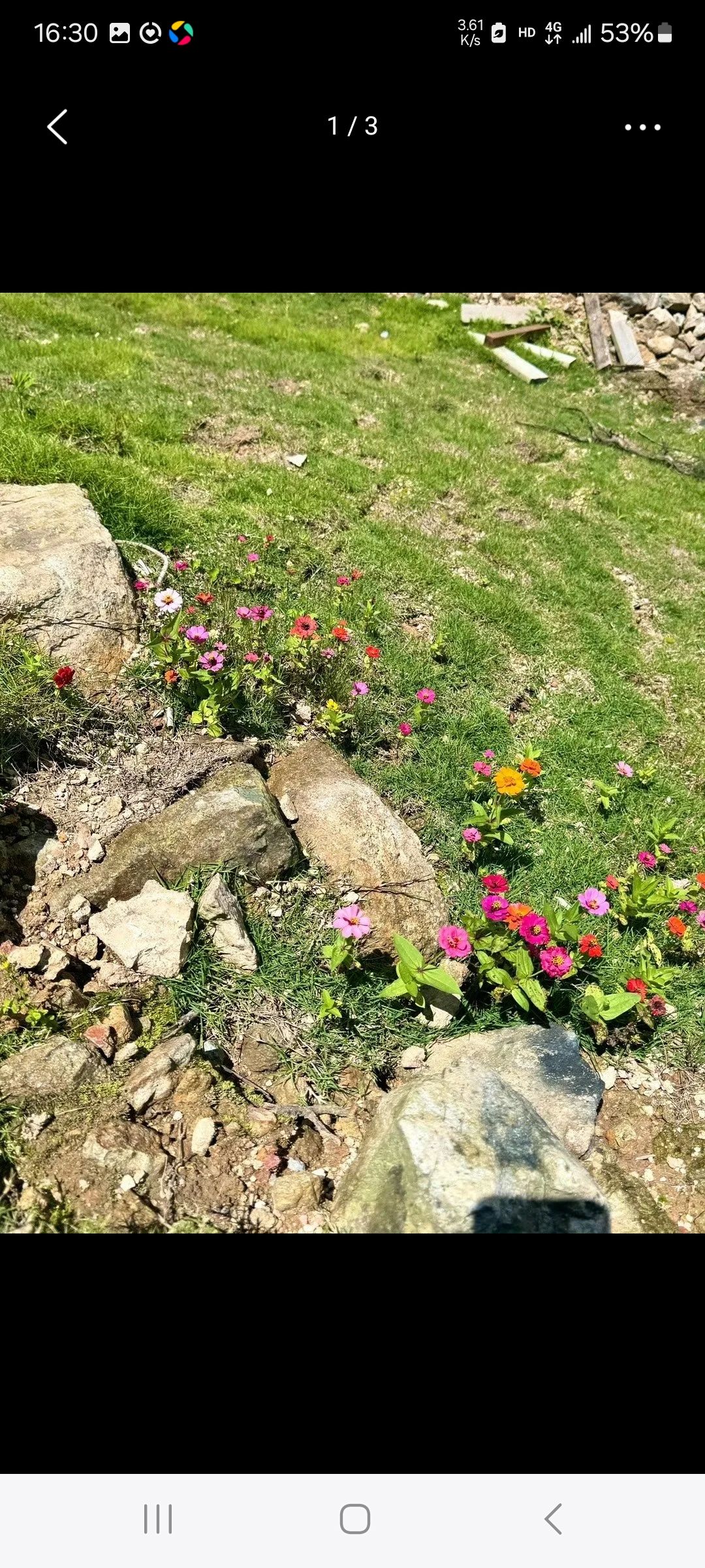 春风村半山云海旅行图片 2