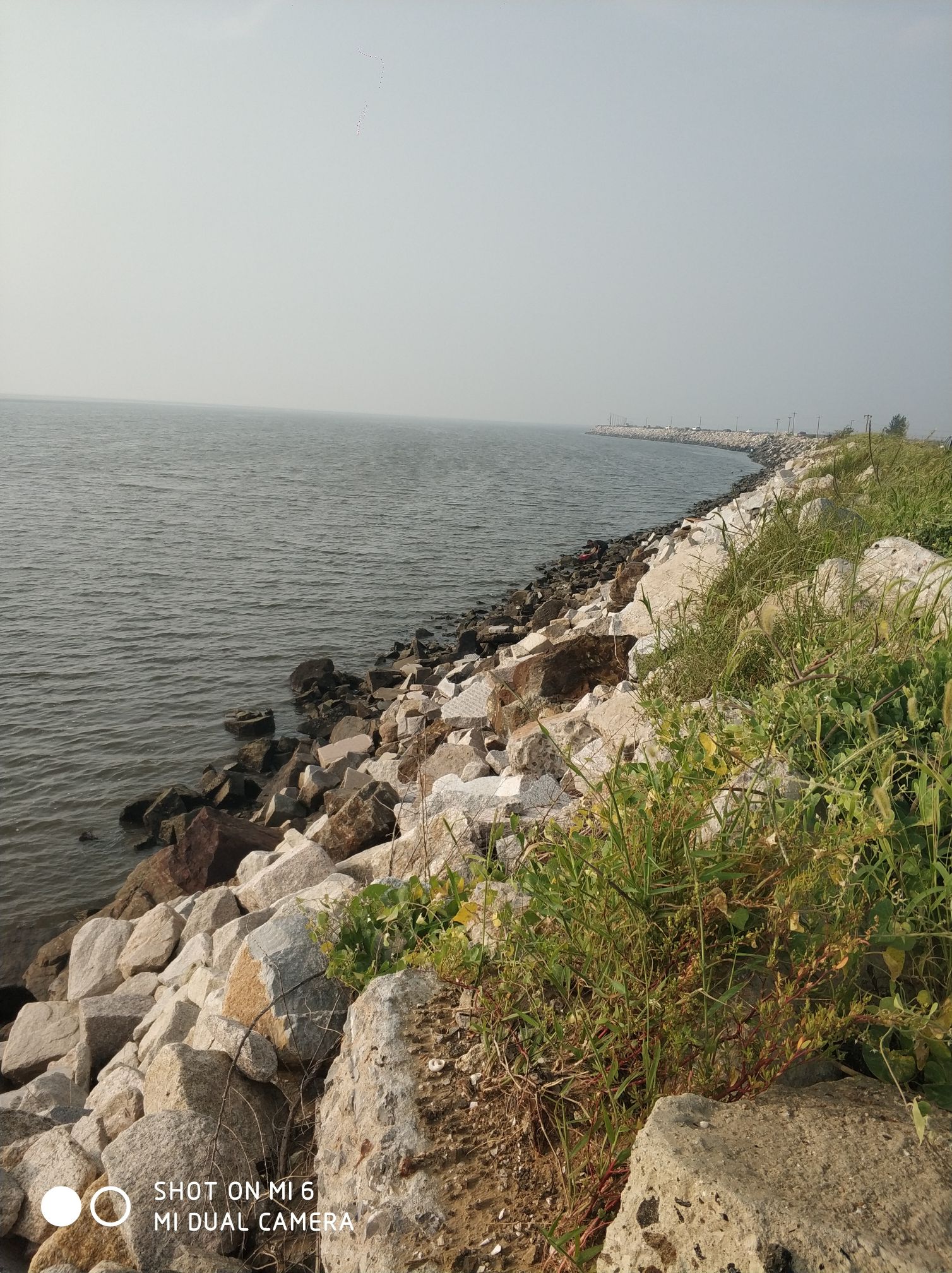 渤海防潮大堤旅行图片 1