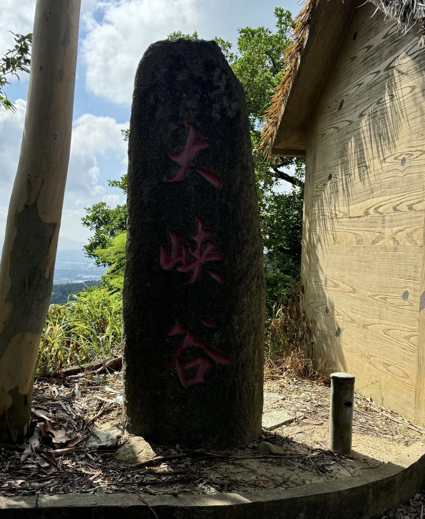 大峡谷旅行图片 1