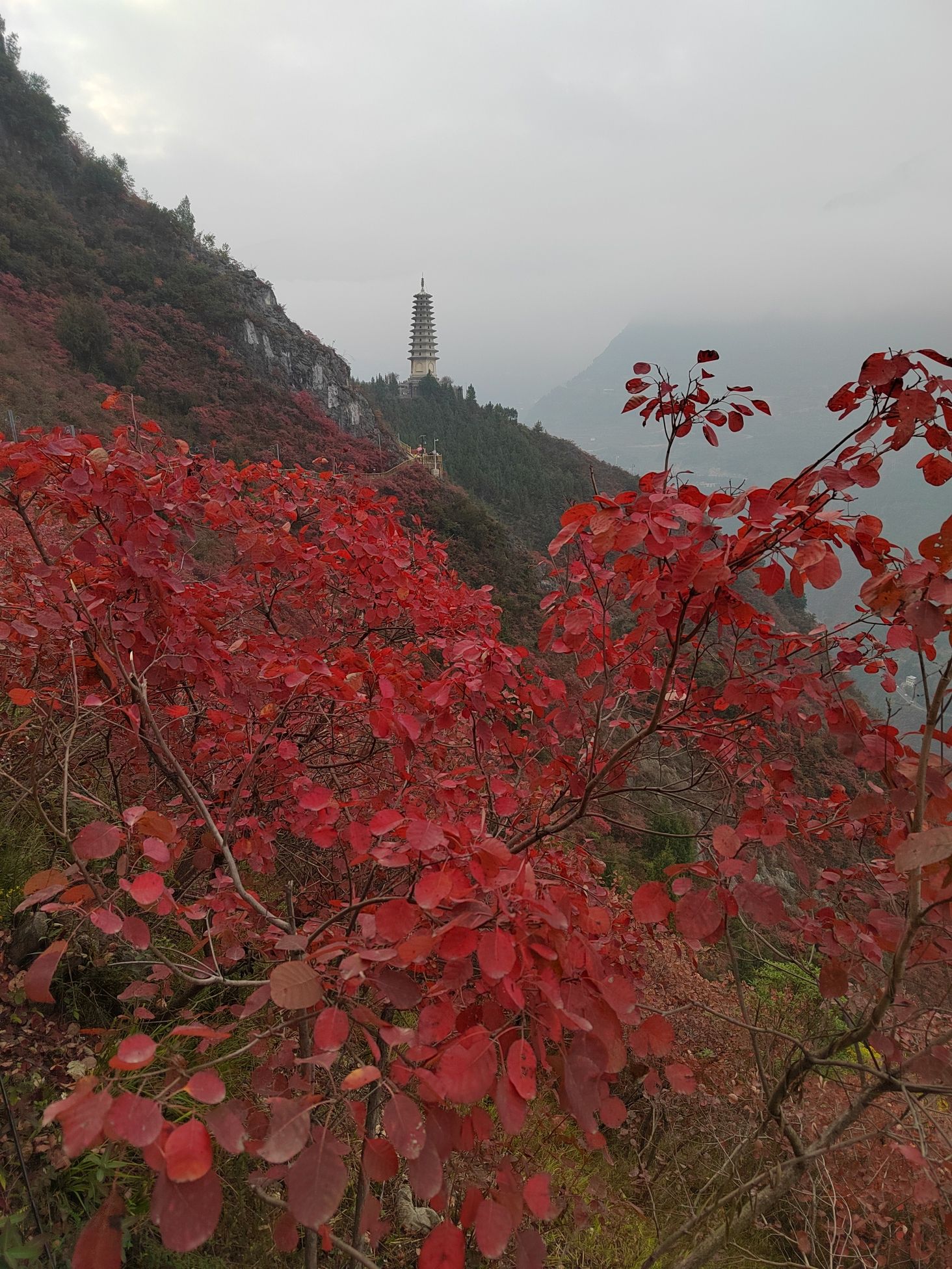 三峡龙脊旅行图片 3