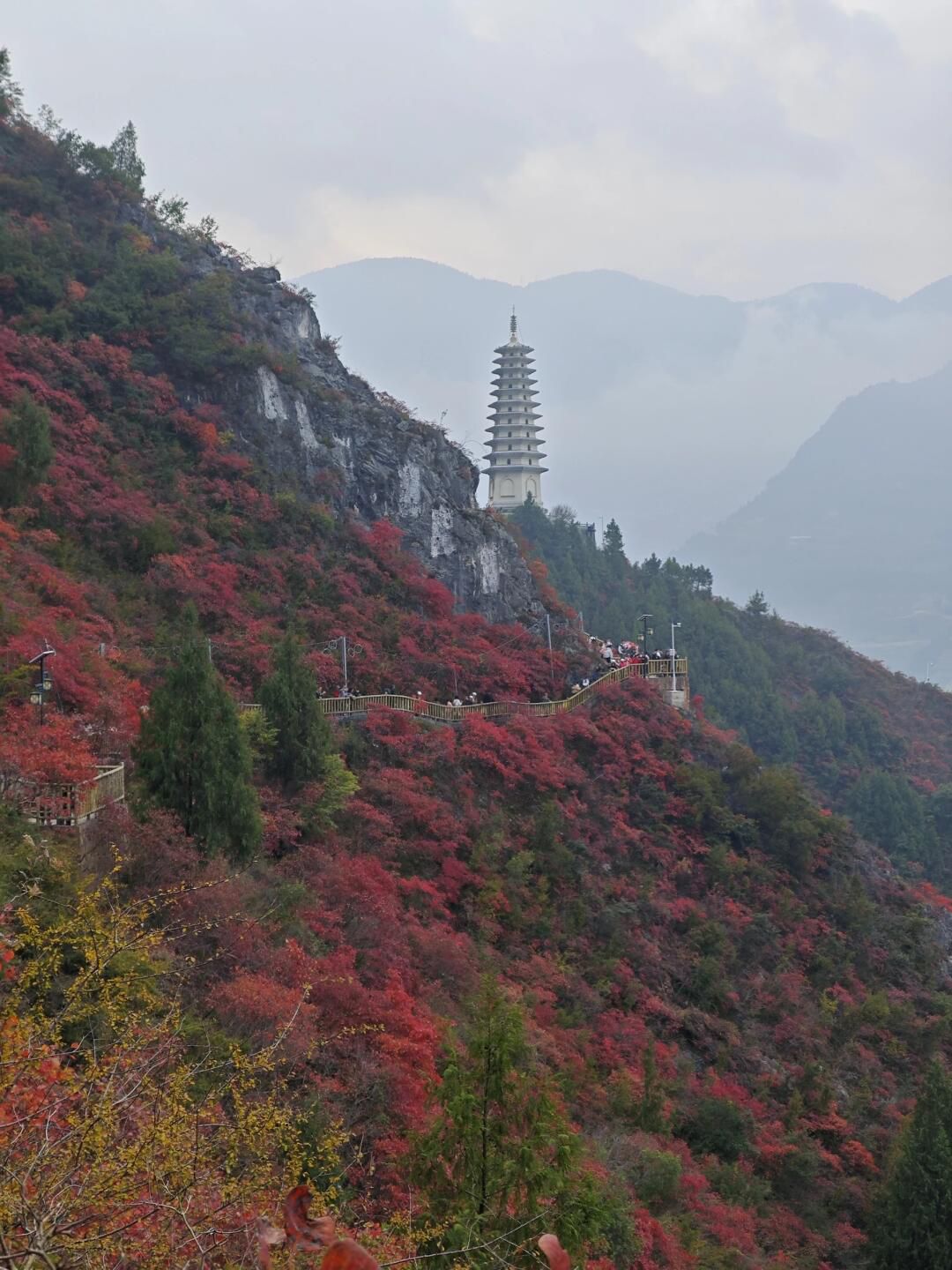 三峡龙脊旅行图片 1