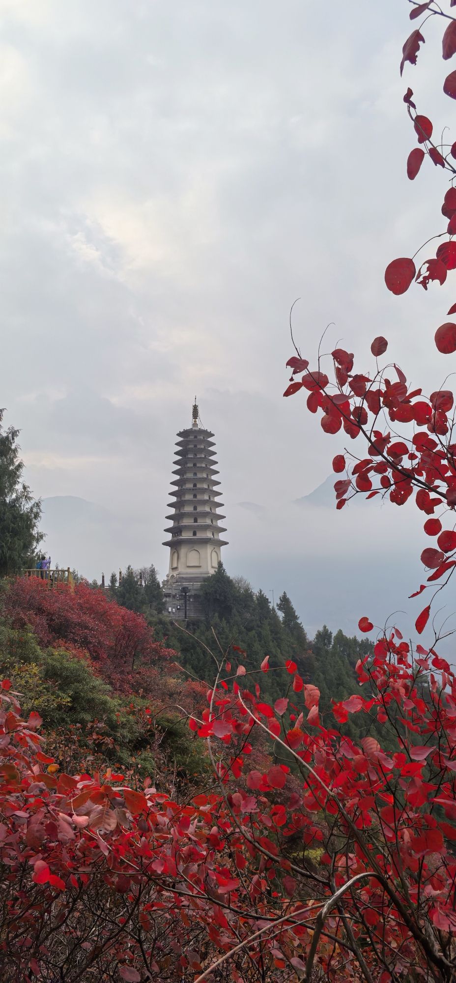 三峡龙脊旅行图片 3