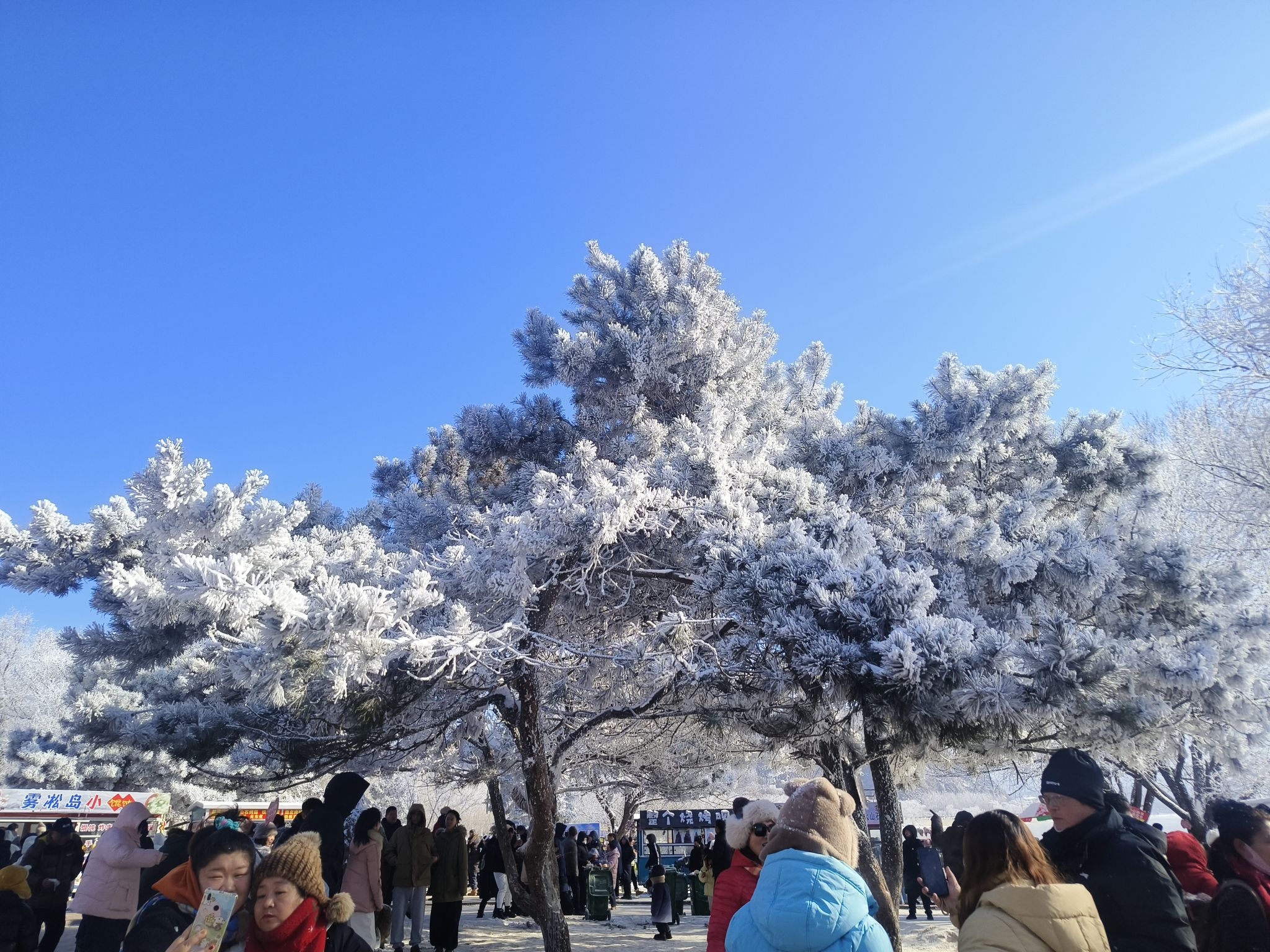 阿什小雾凇岛旅行图片 3