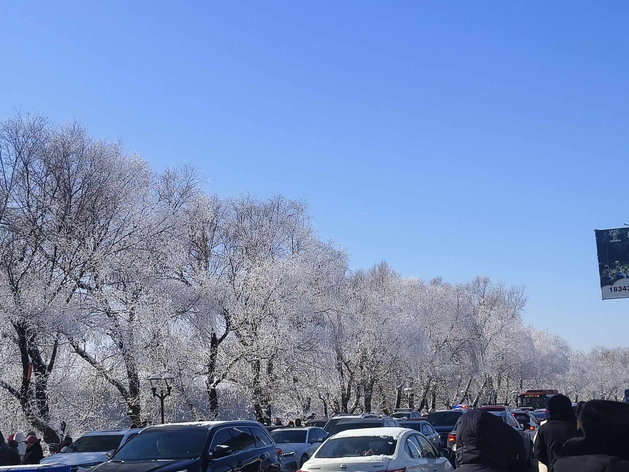 阿什小雾凇岛旅行图片 1
