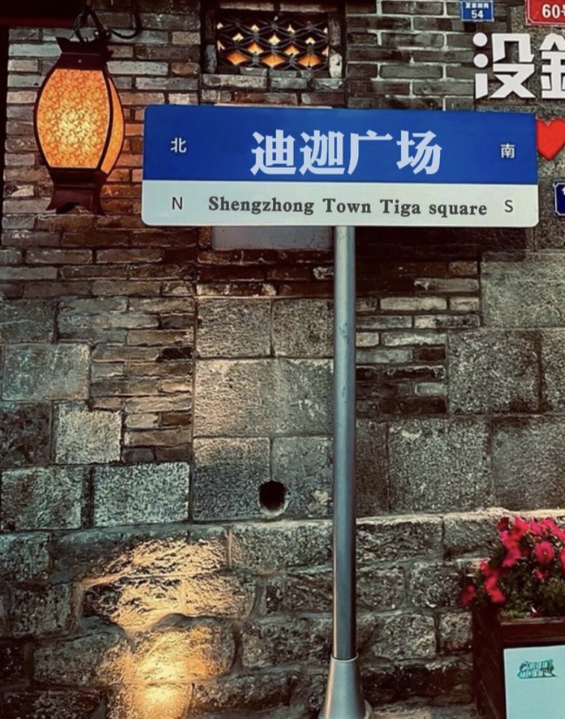 迪迦广场旅行图片 1
