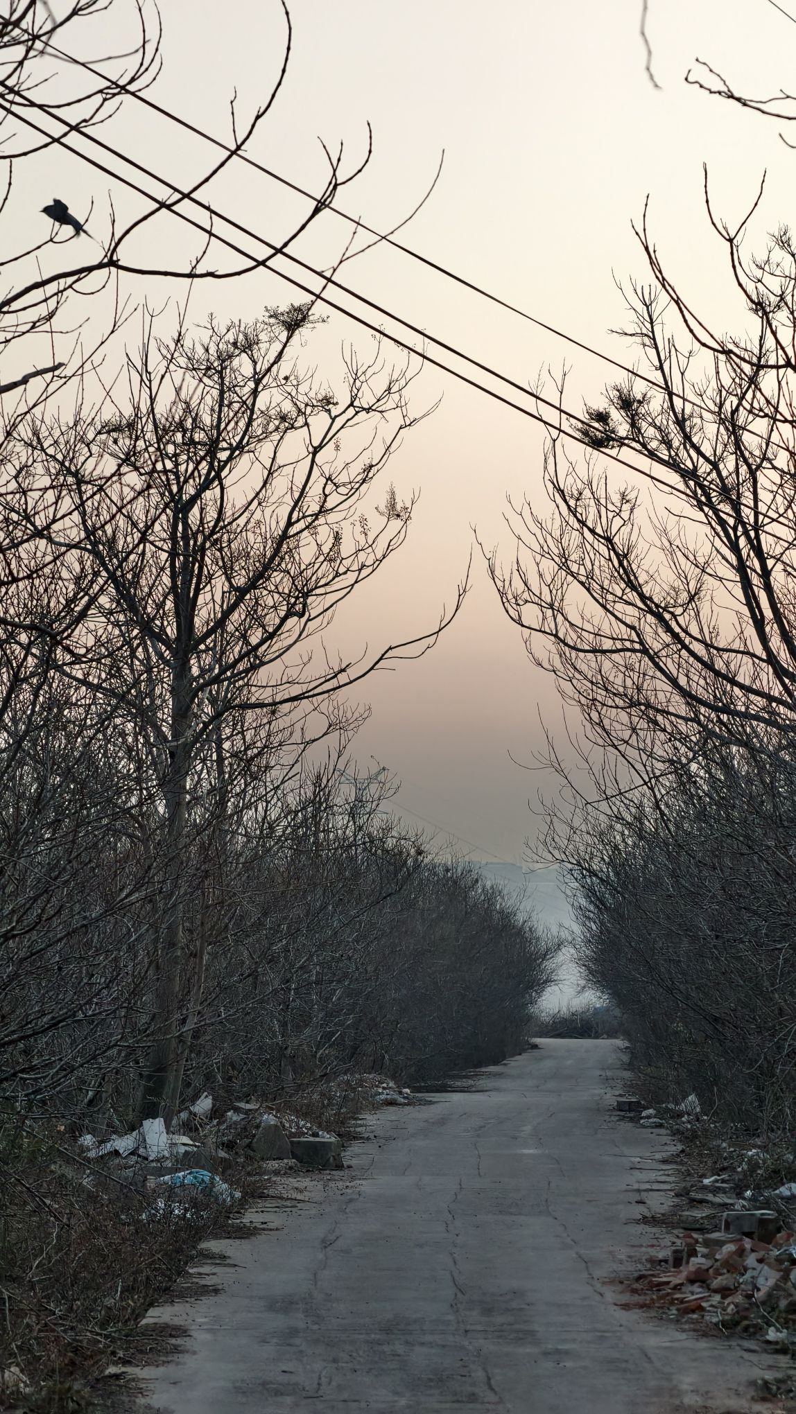 南唐后主李煜墓旅行图片 3