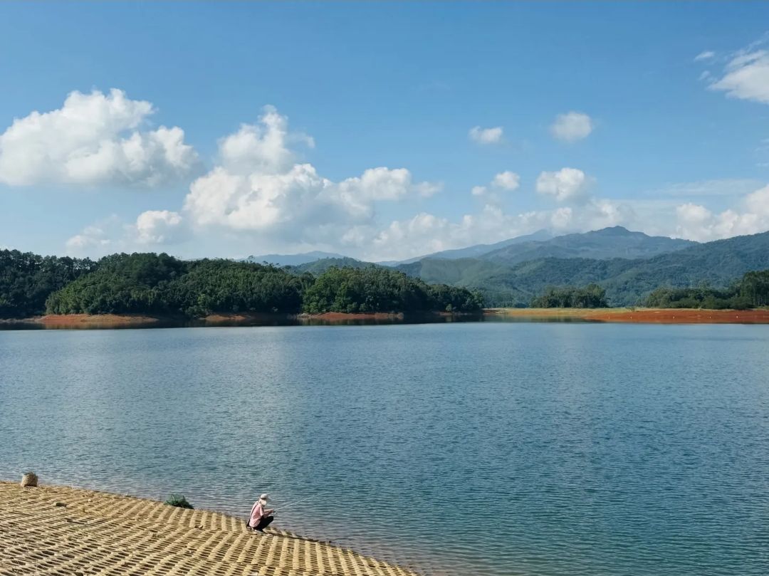 名人岛旅行图片 1