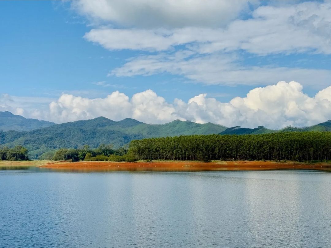 名人岛旅行图片 2