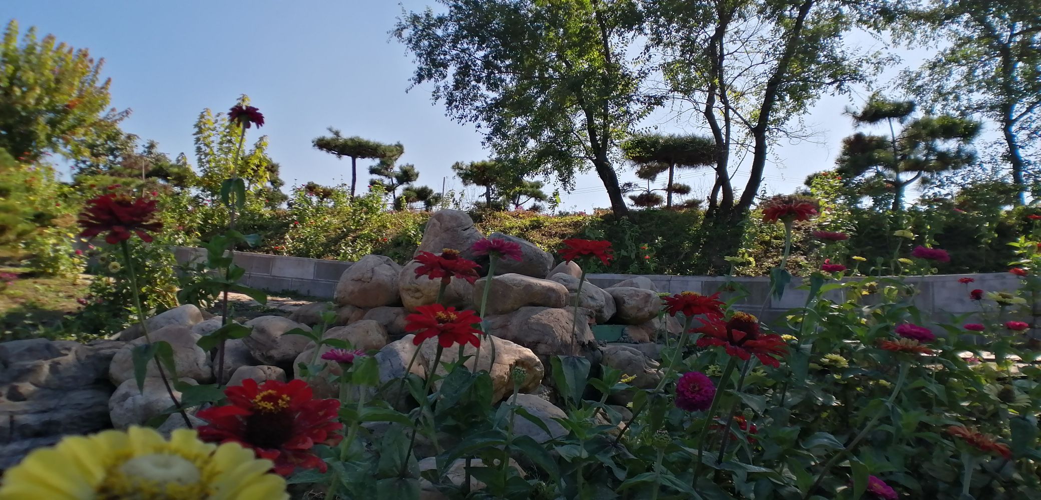 香叶谷旅行图片 1