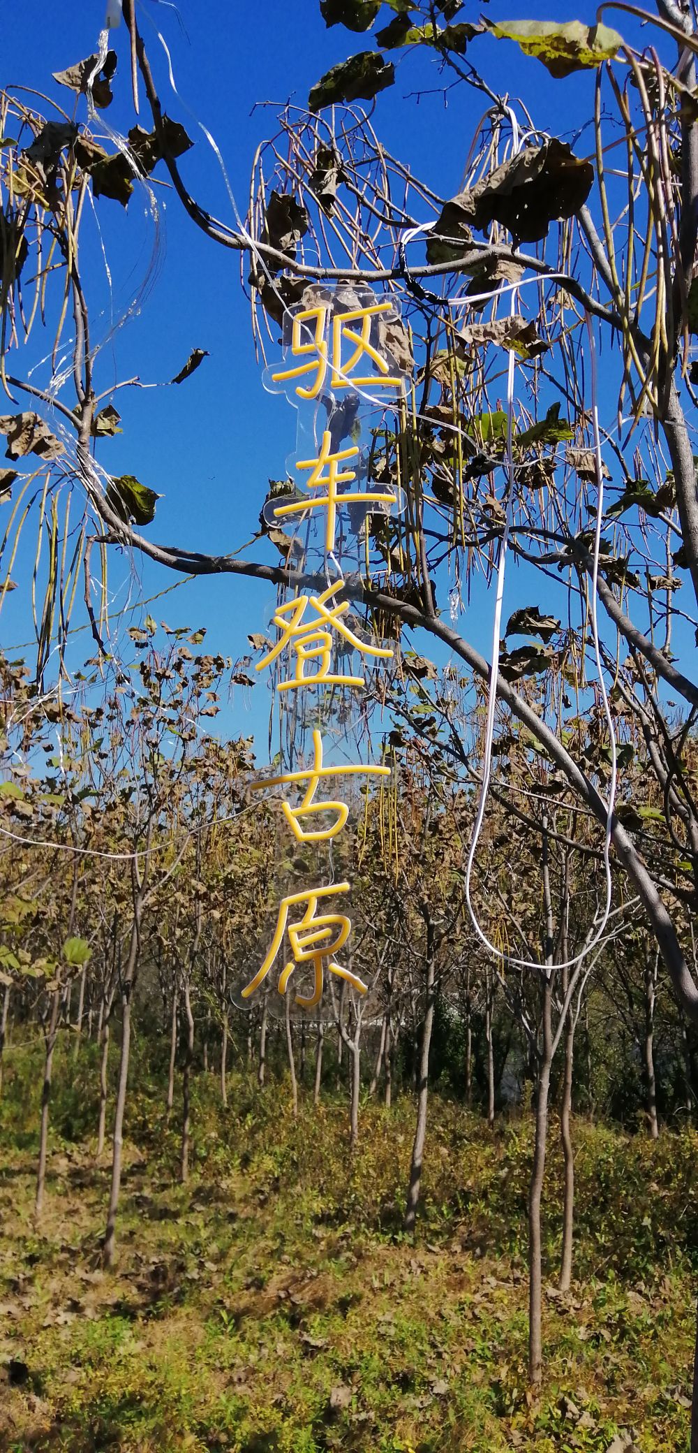 香叶谷旅行图片 1