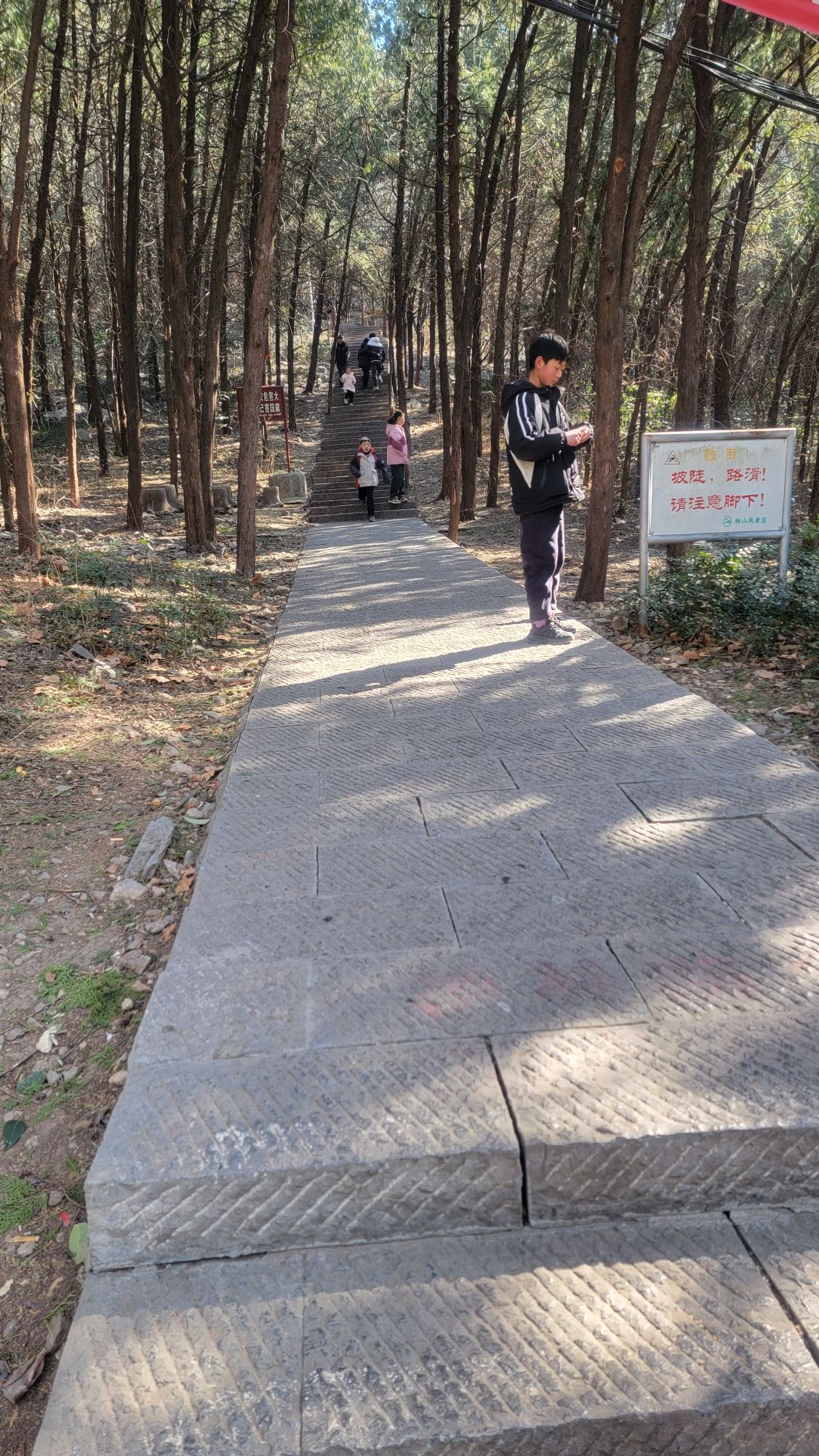 704台登山步道旅行图片 1