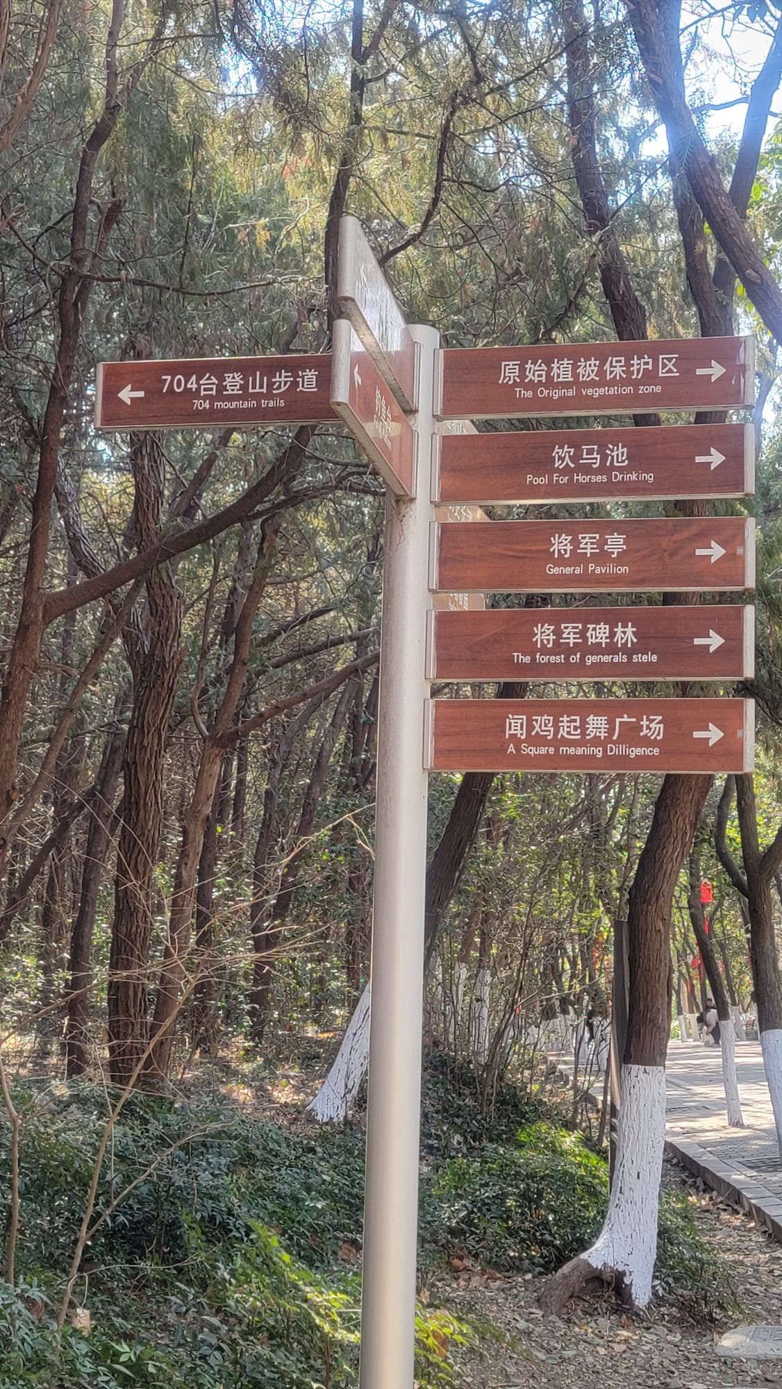704台登山步道旅行图片 2