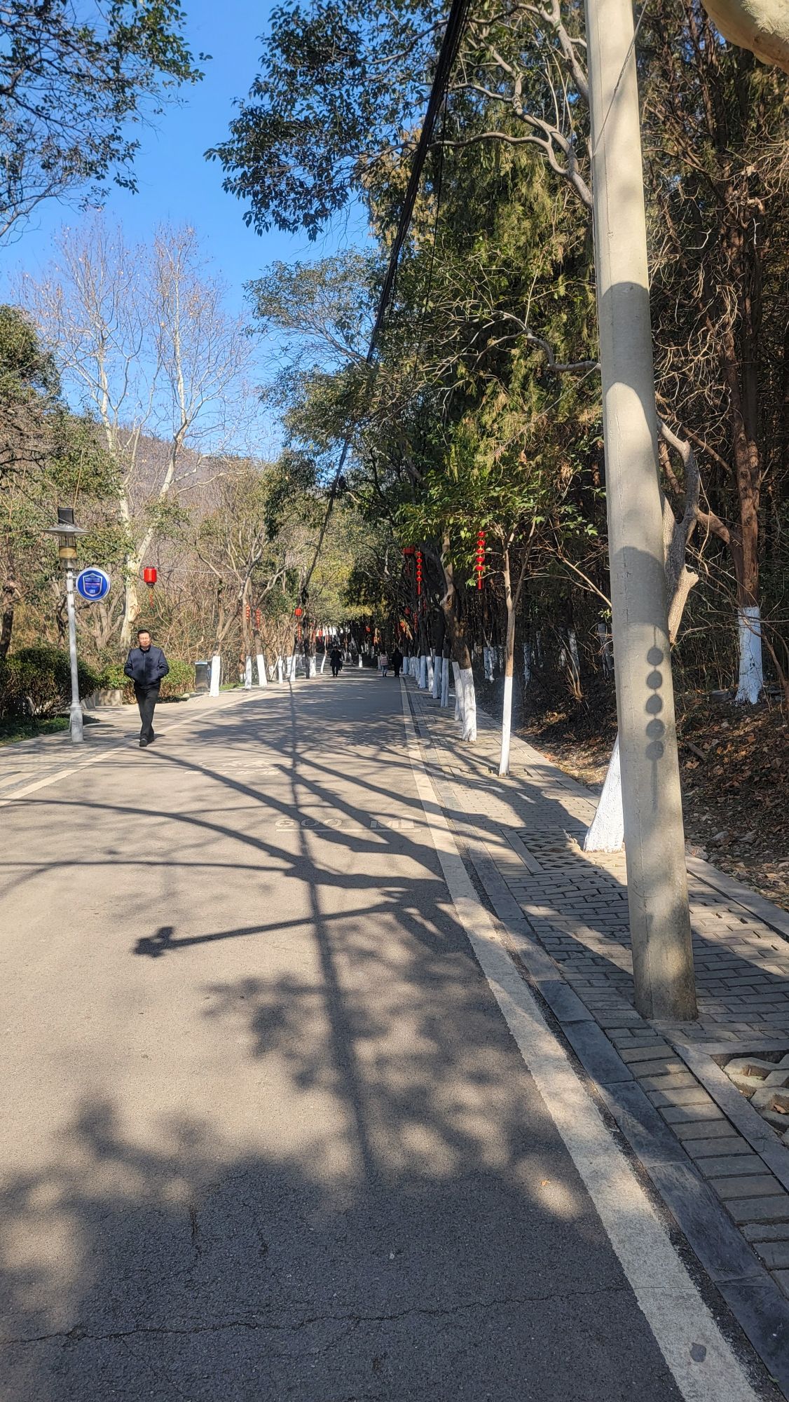 704台登山步道旅行图片 3