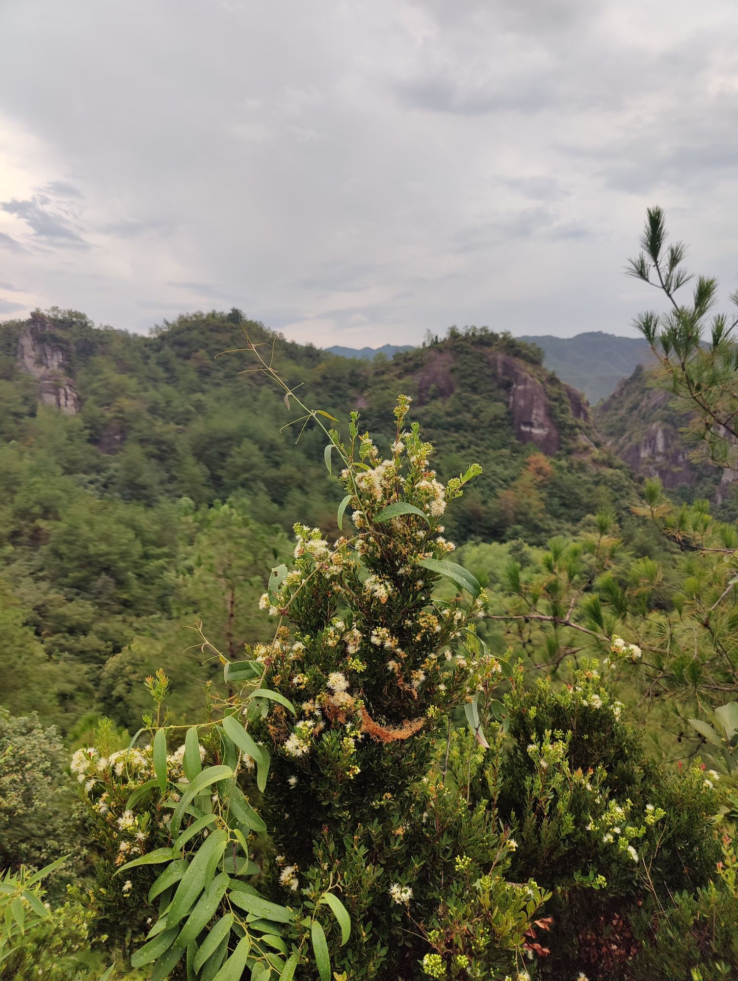 瞻贤阁旅行图片 2