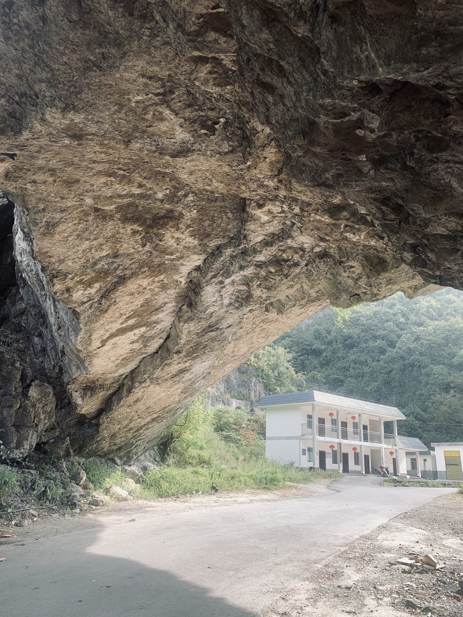 仙源洞旅行图片 3