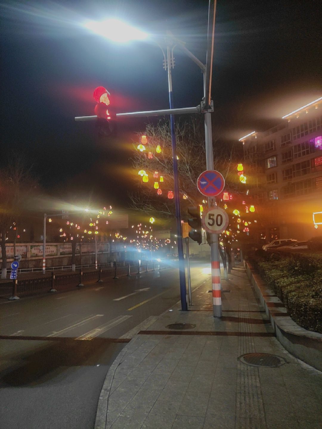 大槐树旅行图片 2