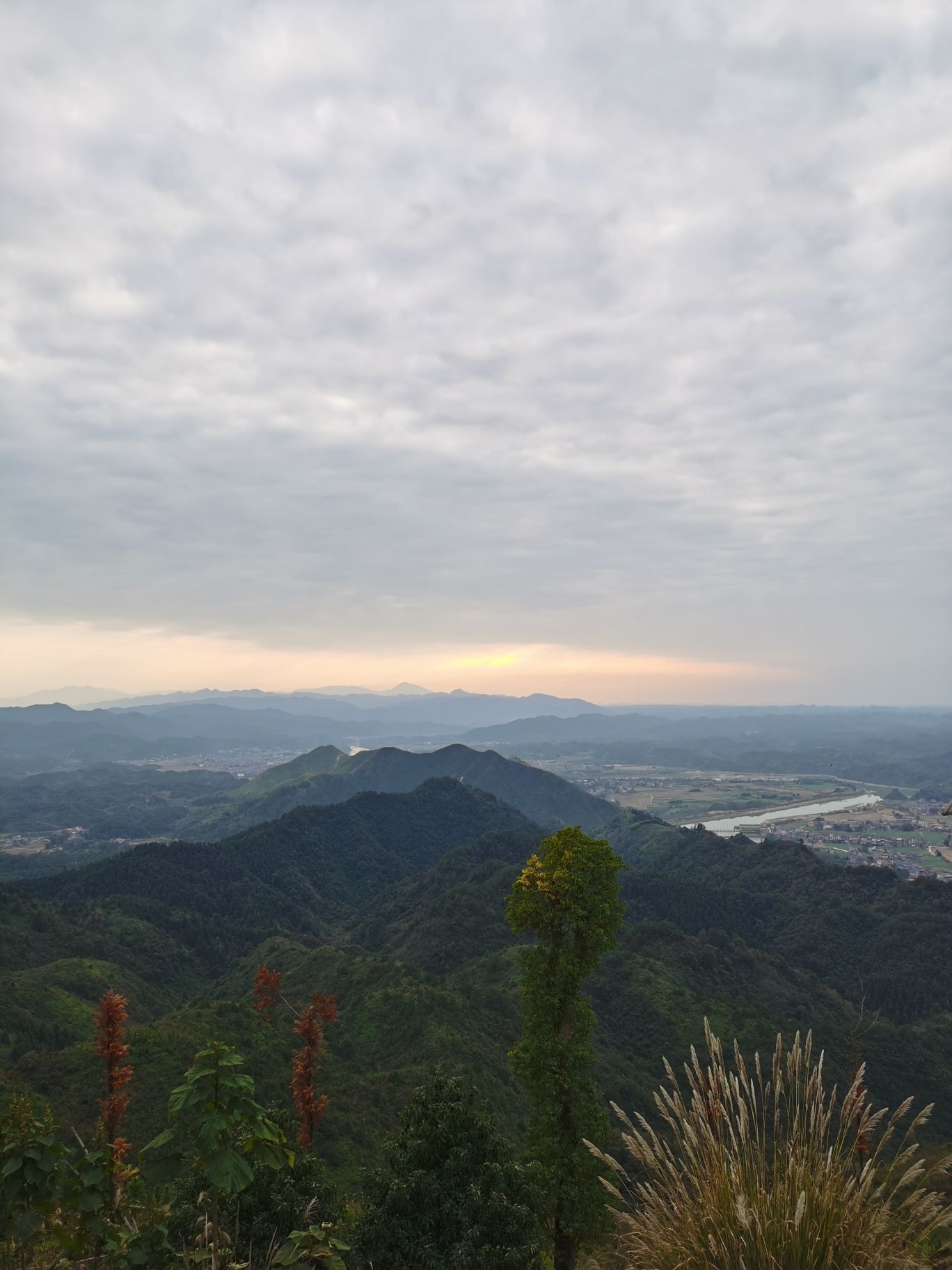 金紫仙旅行图片 1