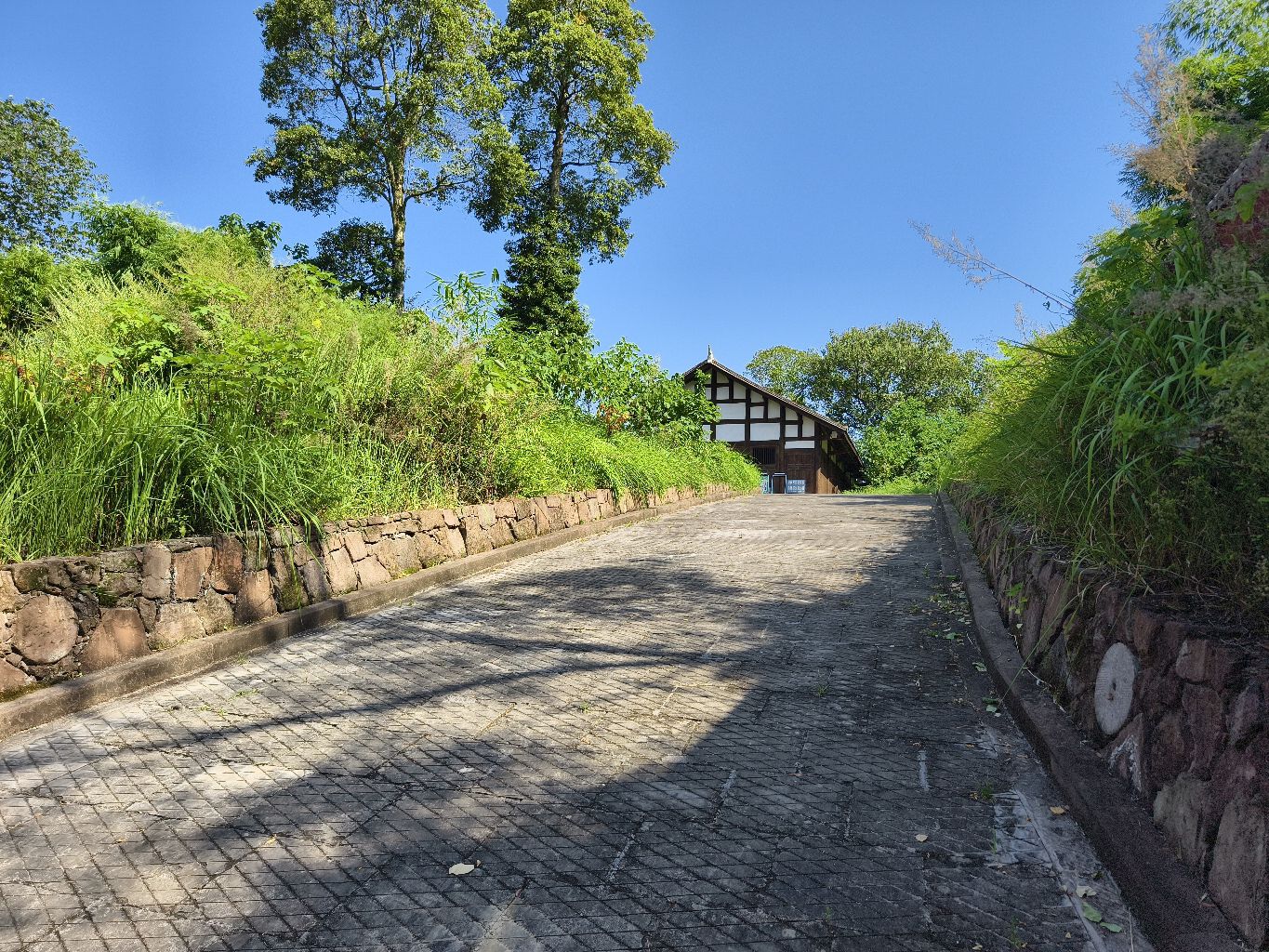 佛会寺旅行图片 1
