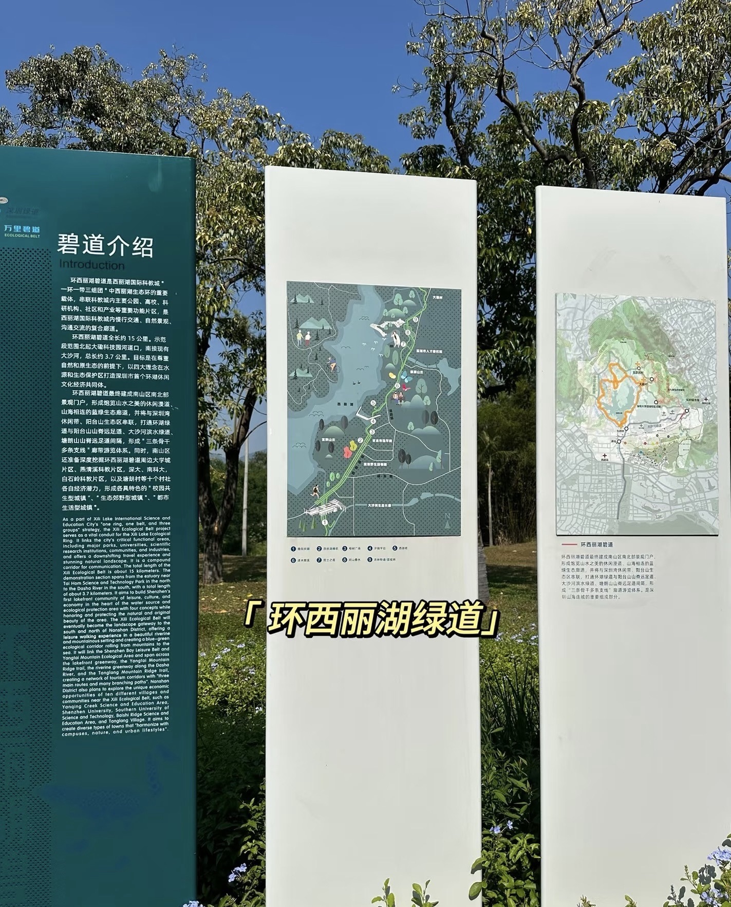 西丽湖牌坊旅行图片 3
