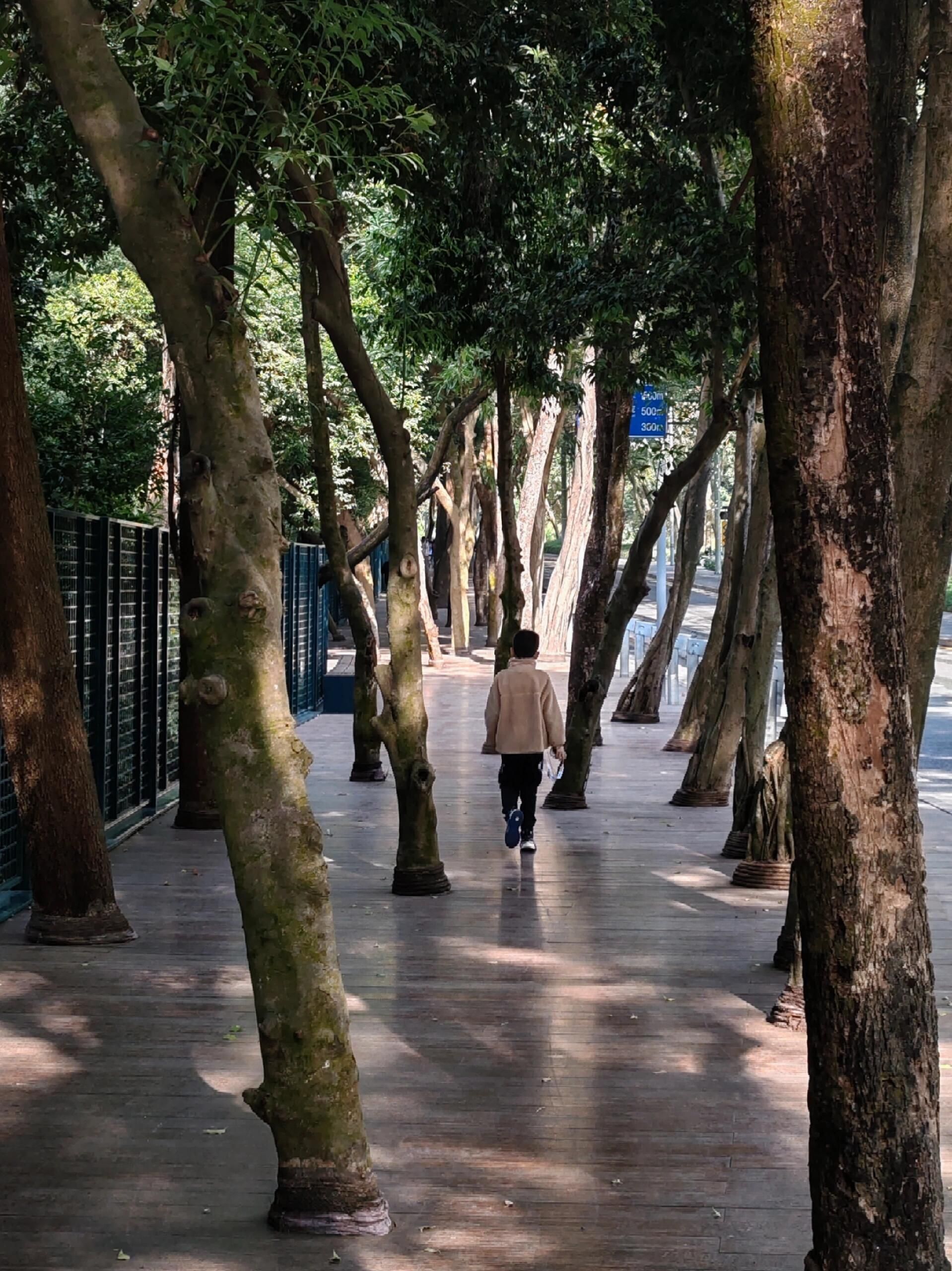 西丽湖牌坊旅行图片 1
