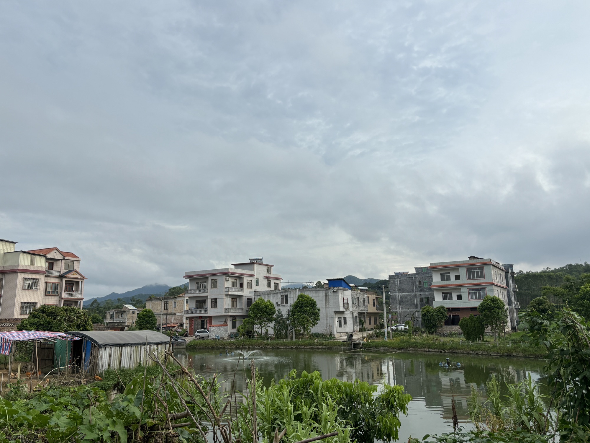 罗村·惠进祖堂旅行图片 1