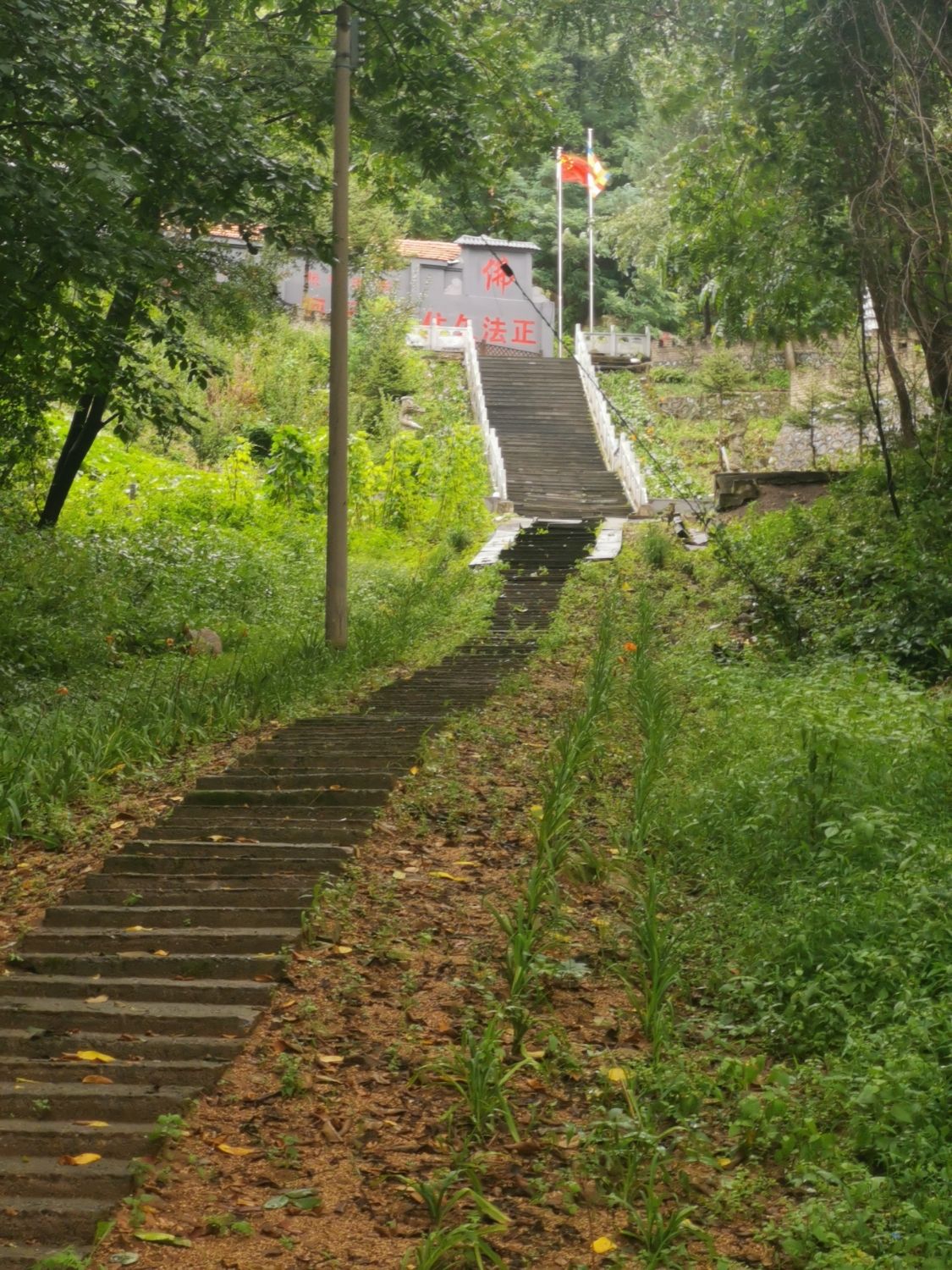 净业寺实景照片