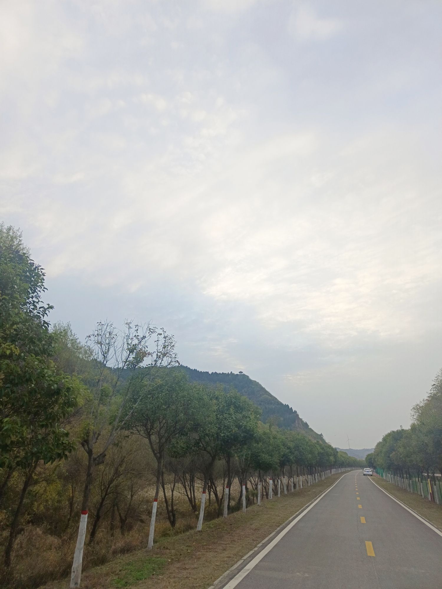 桃花峪黄河大草原旅行图片 2
