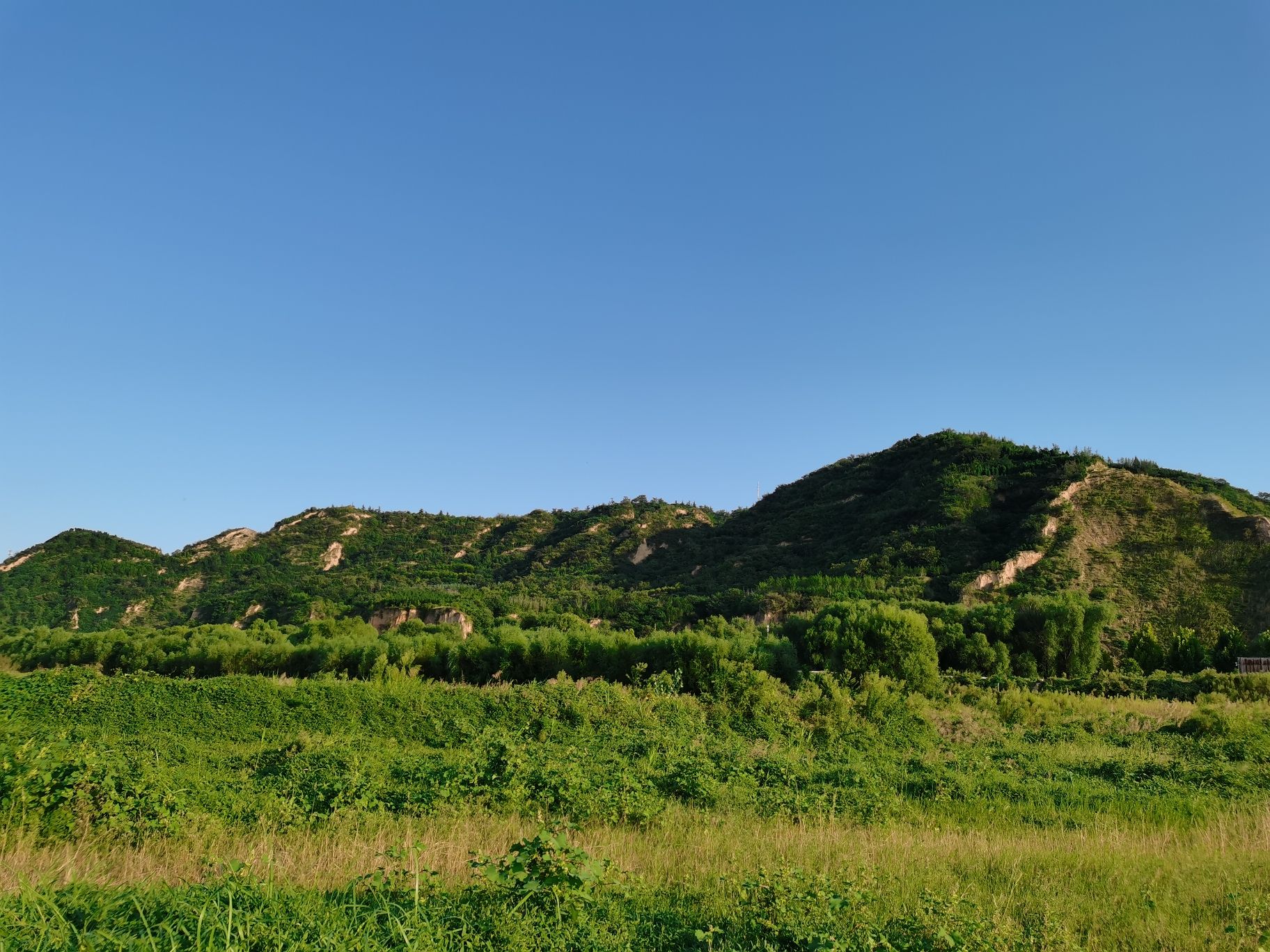 桃花峪黄河大草原旅行图片 1