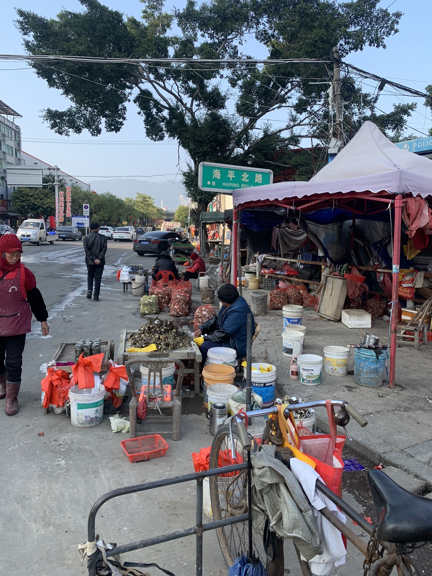 公园路妈祖湿地公园旅行图片 1