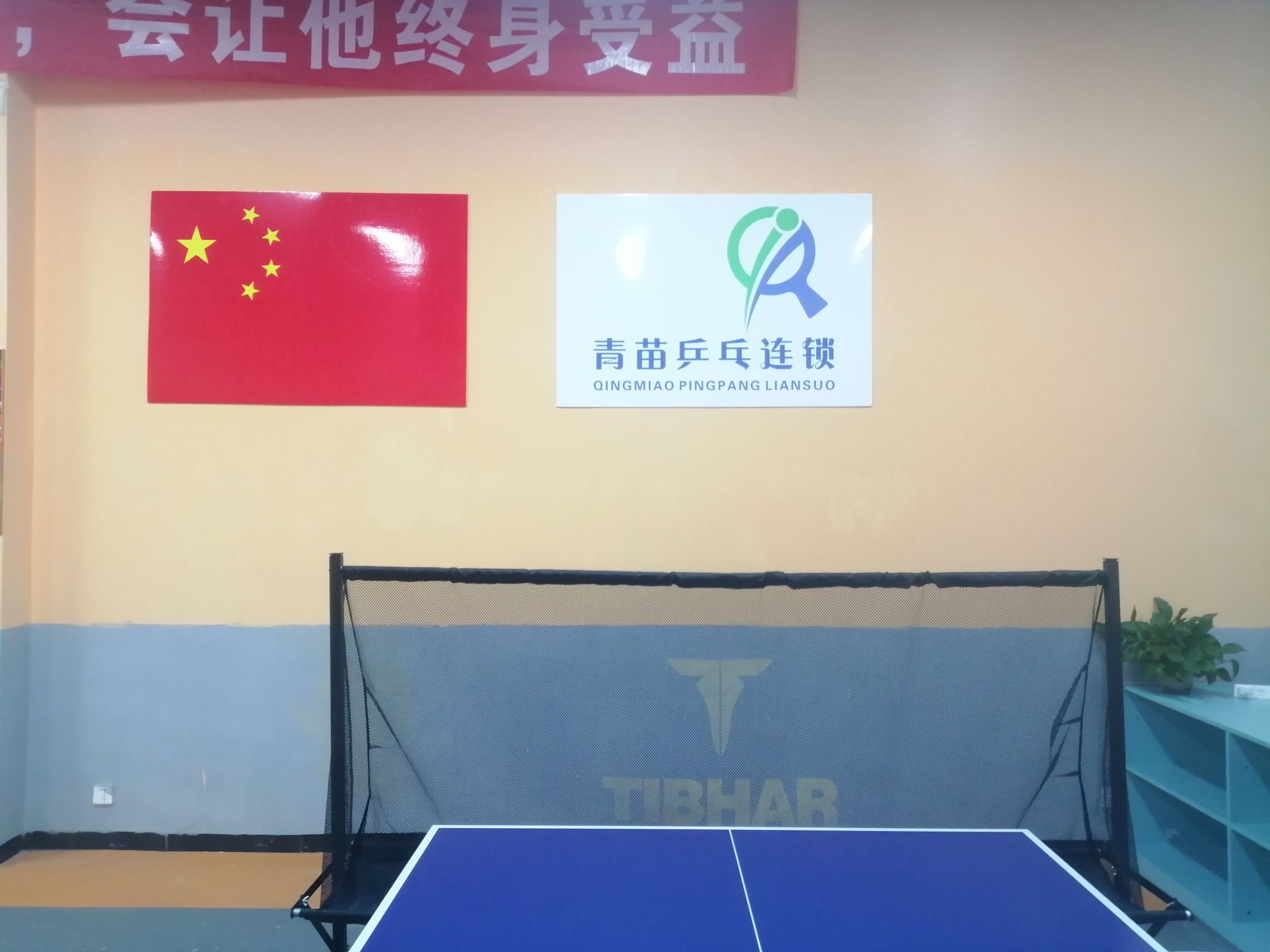 场地封面-青苗乒乓球(龙城国际店)