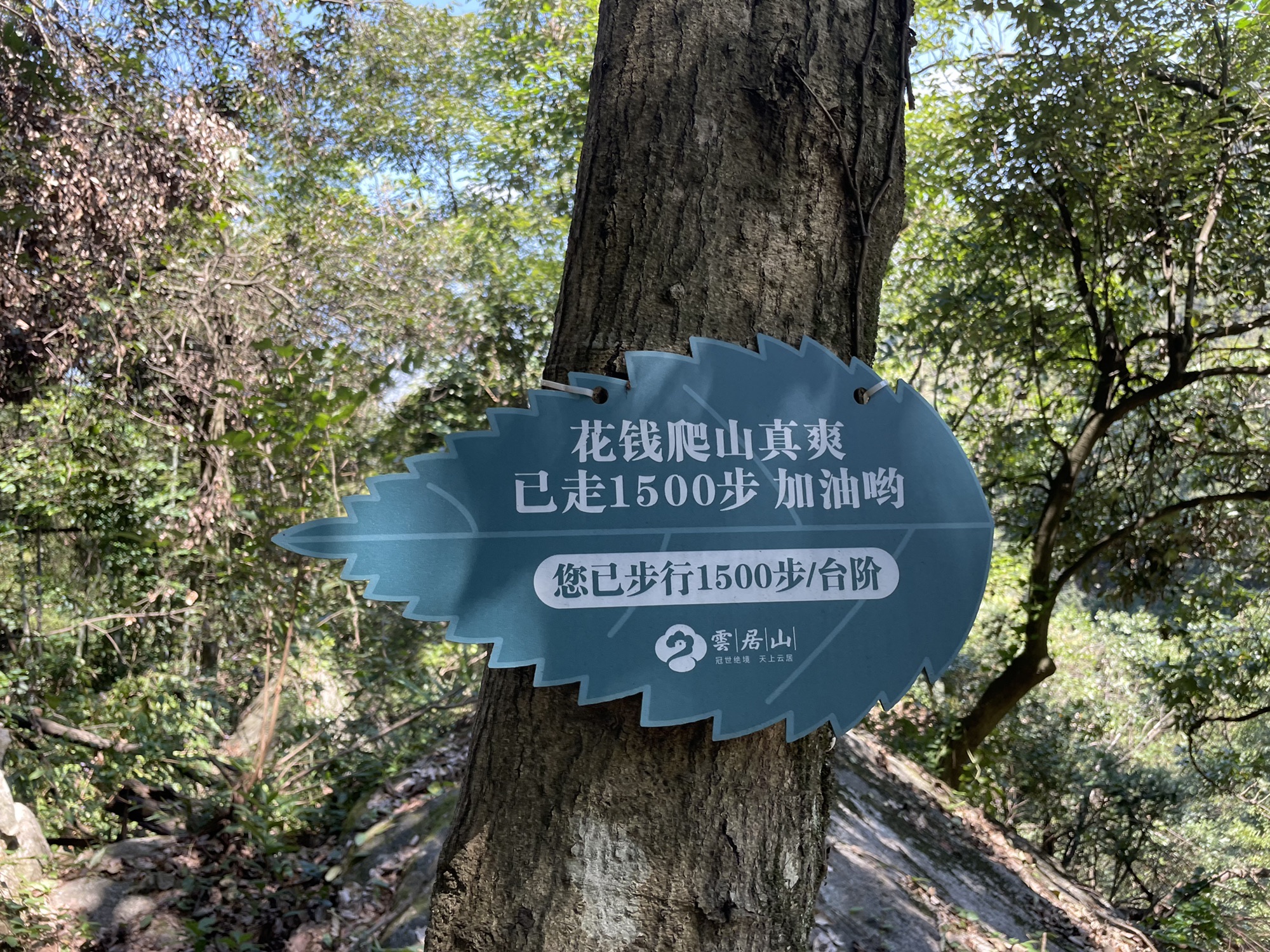 云居山火龙涡瀑布旅行图片 2