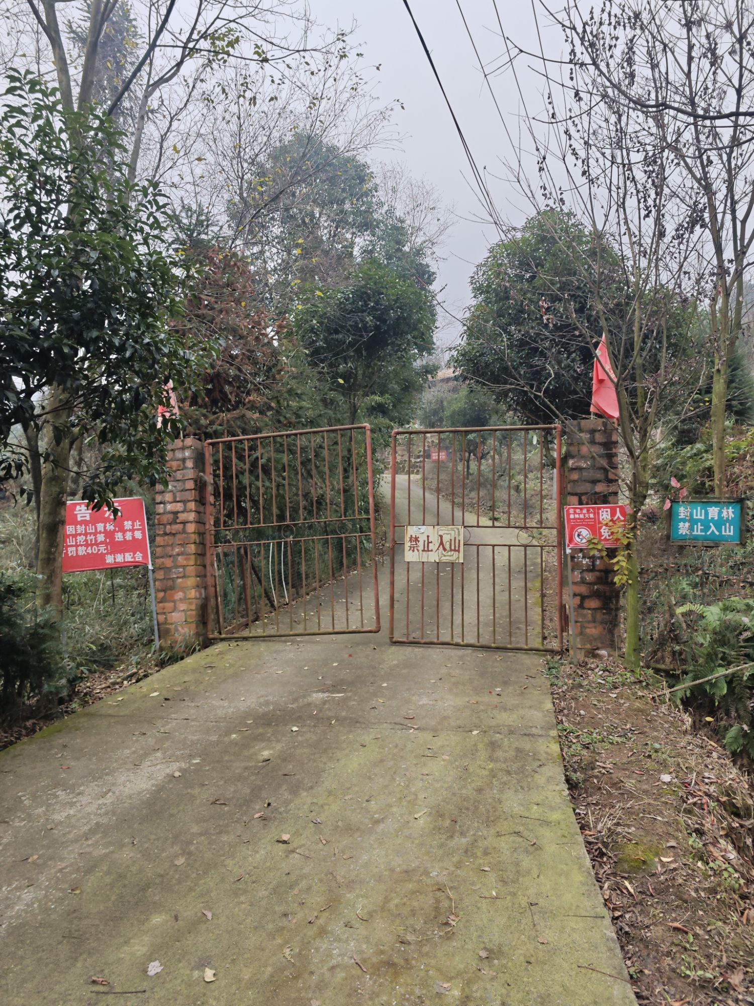 雅安森林公园