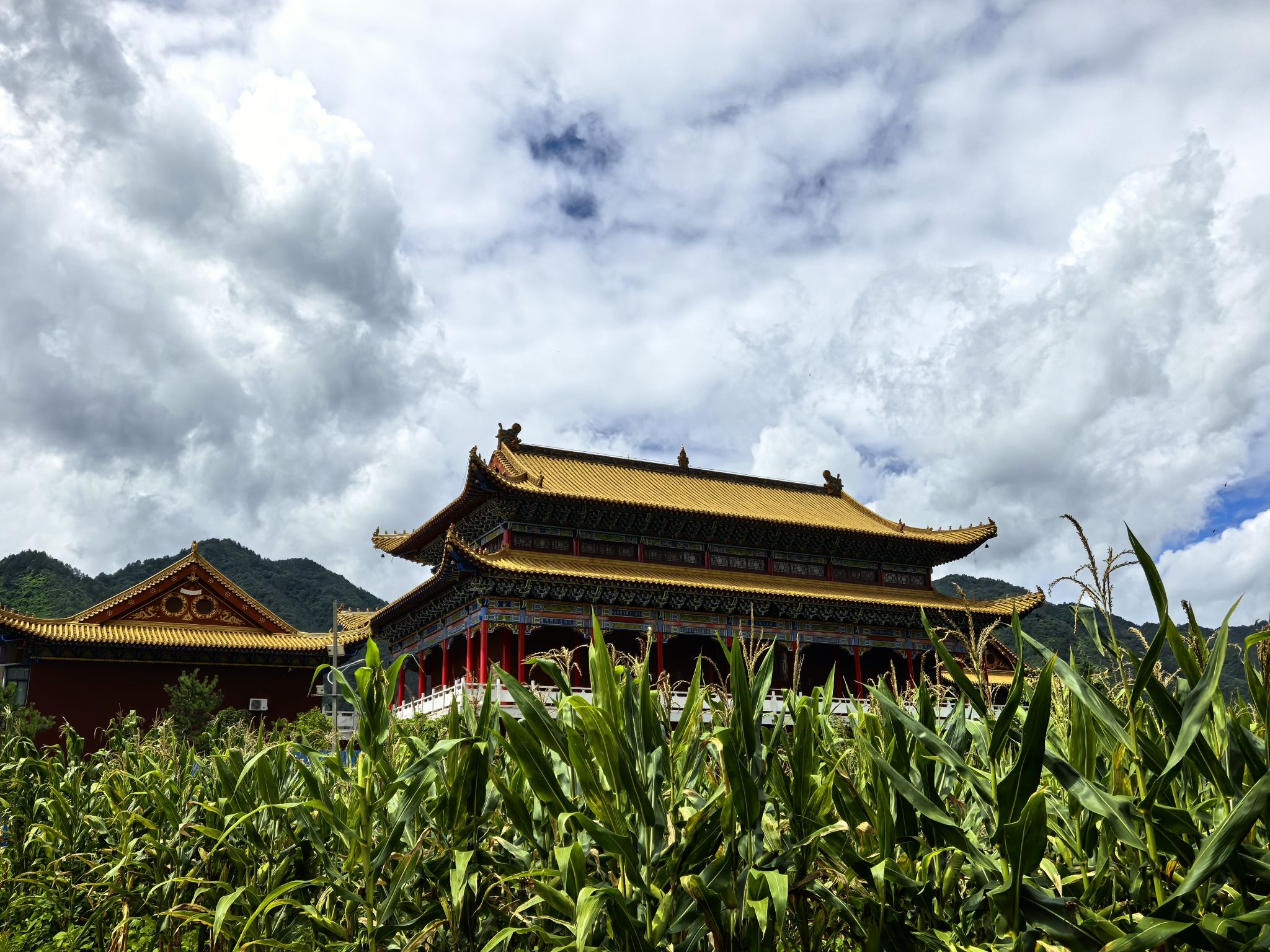 都摄寺实景照片