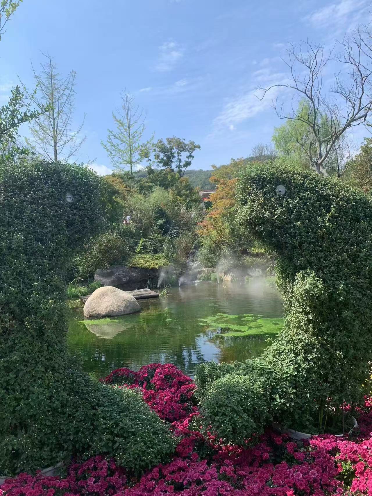 天台山菊艺花海旅行图片 3