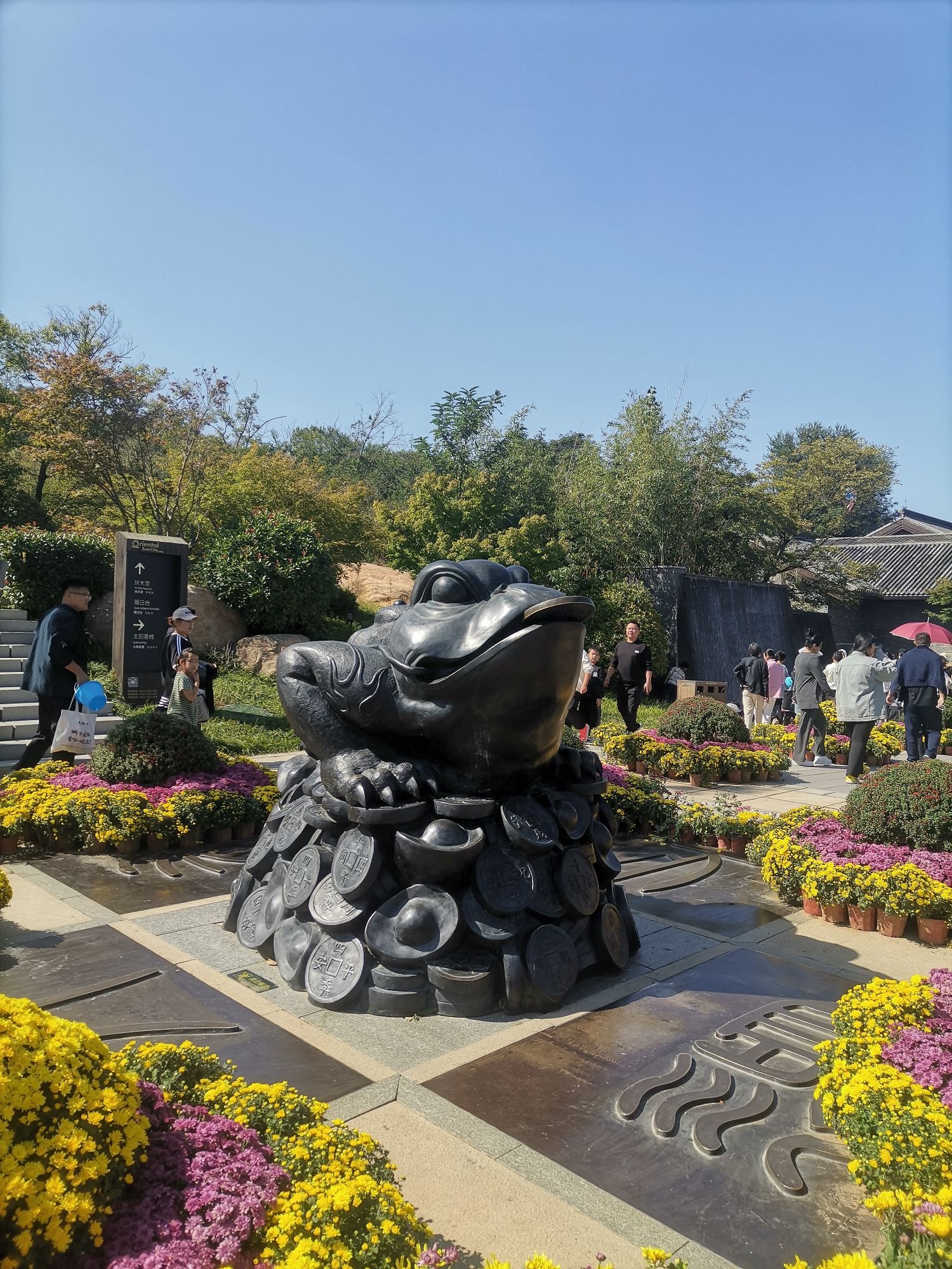 天台山菊艺花海旅行图片 1