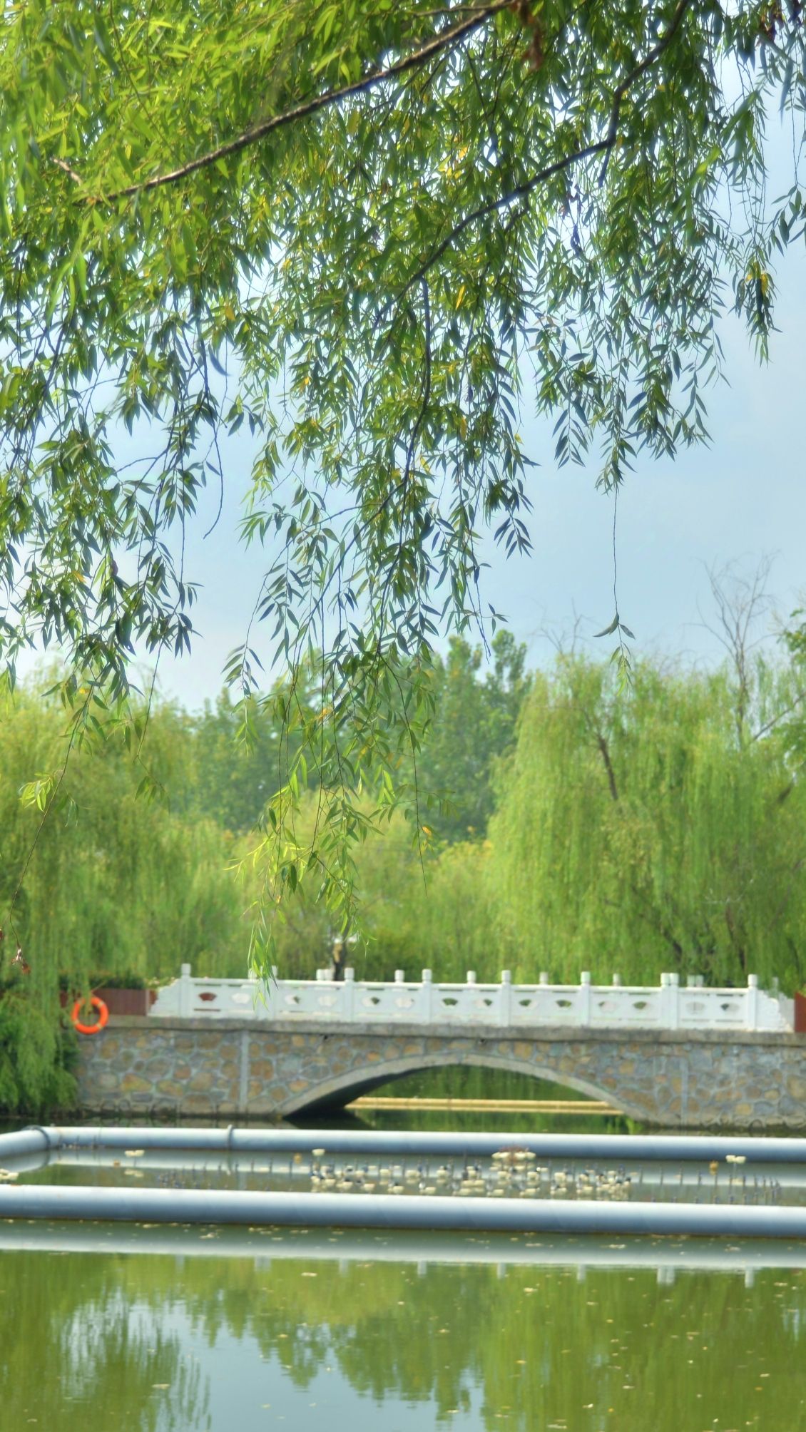 绿野仙踪刘老营旅行图片 2
