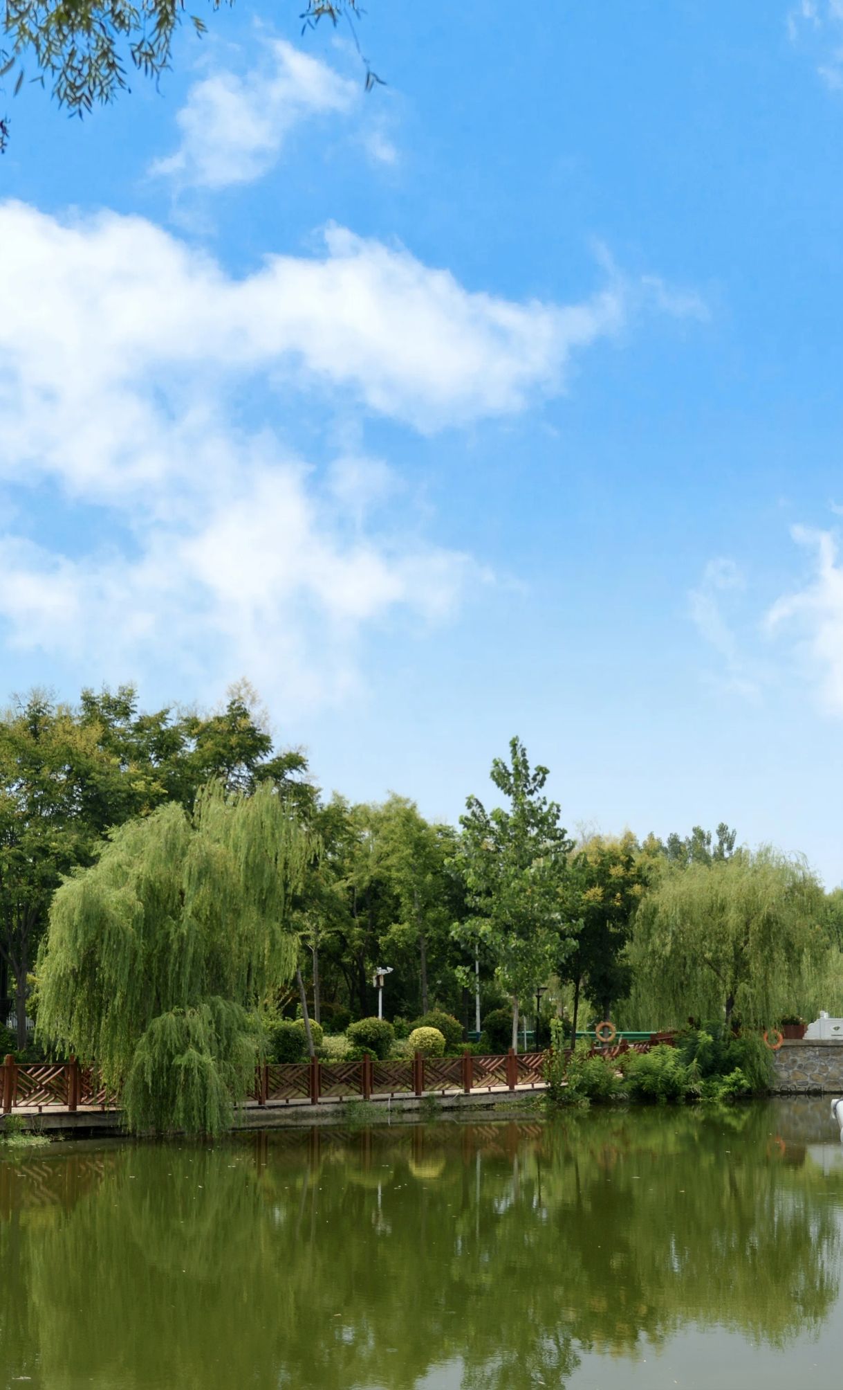 绿野仙踪刘老营旅行图片 3