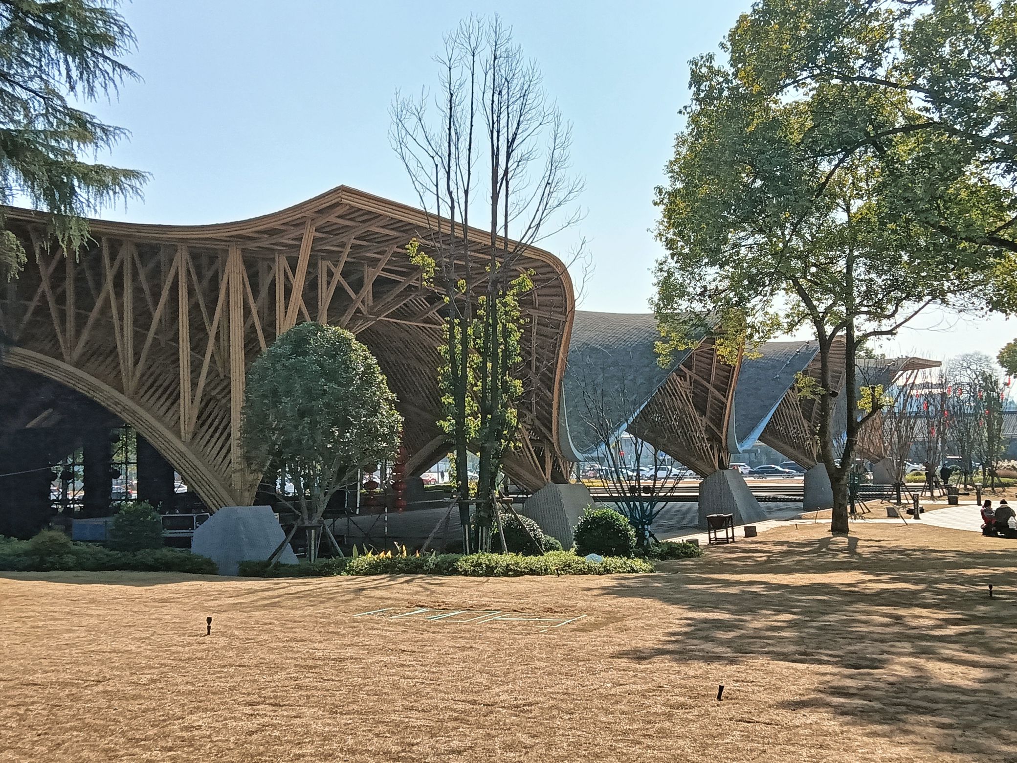 稻源广场旅行图片 2