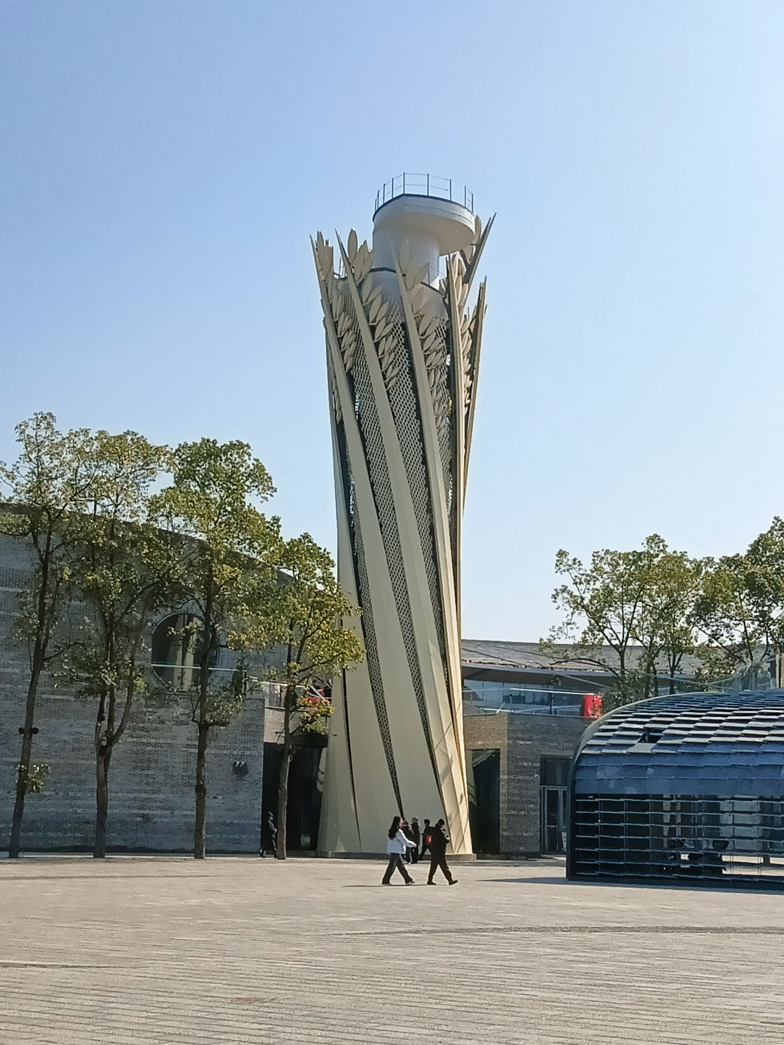 稻源广场旅行图片 3
