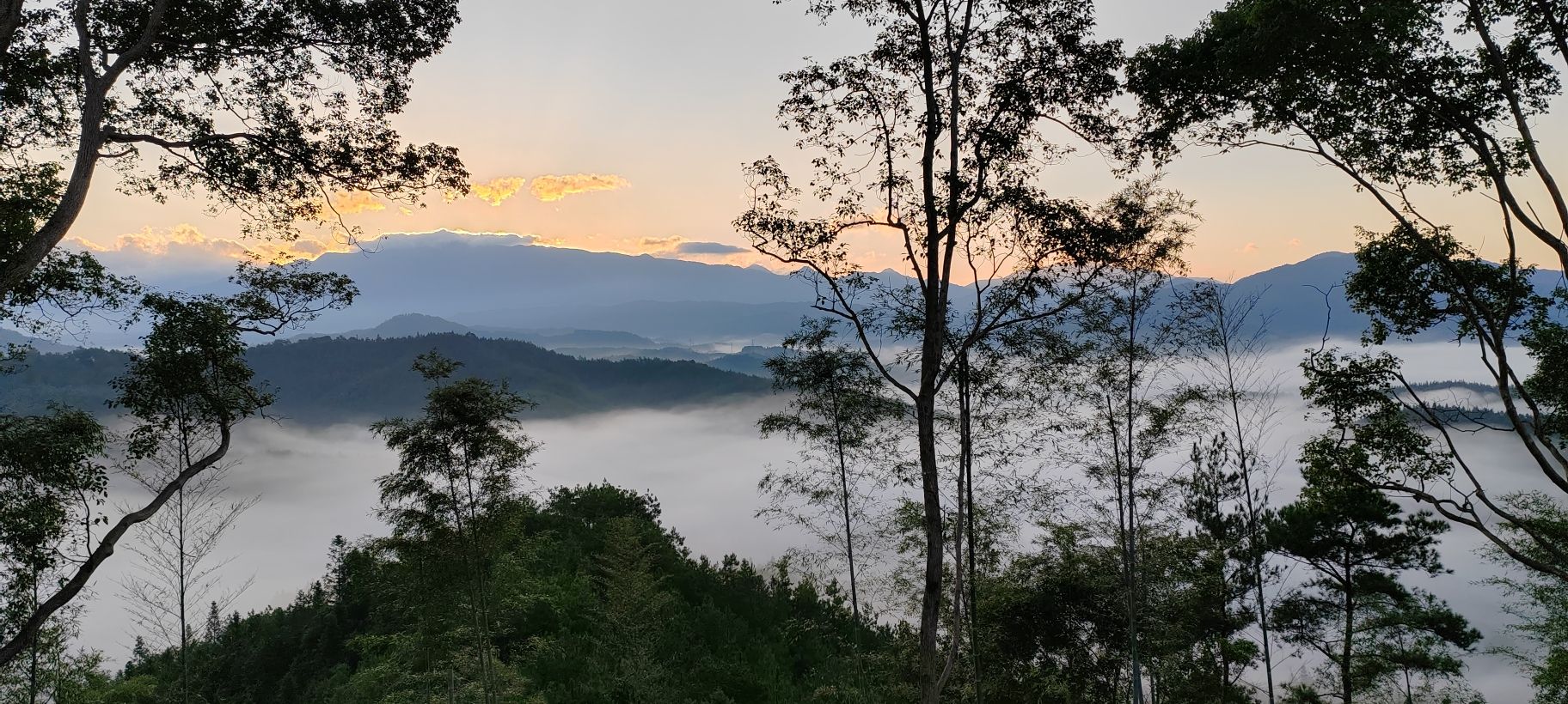 天符山道院旅行图片 1