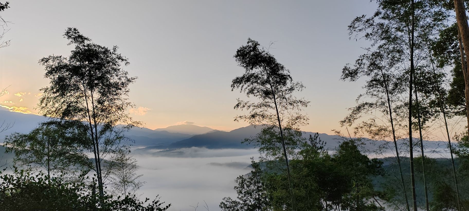 天符山道院旅行图片 2