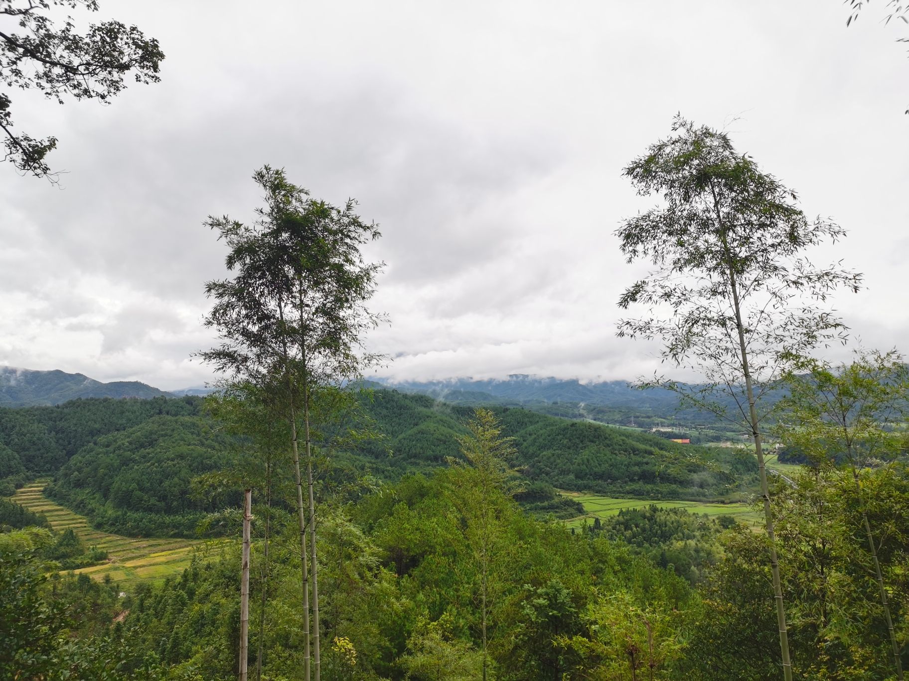 天符山道院旅行图片 3