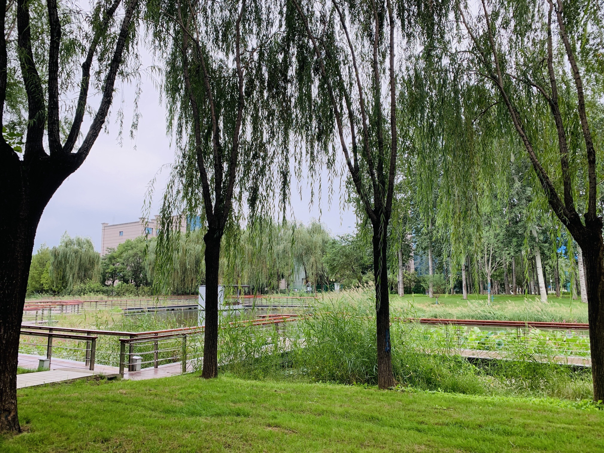 静思湖旅行图片 3