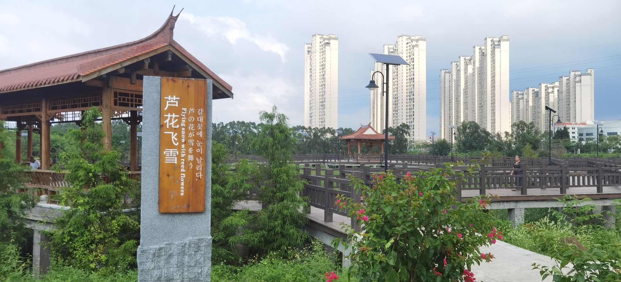 大盈溪休闲步道之芦花飞雪旅行图片