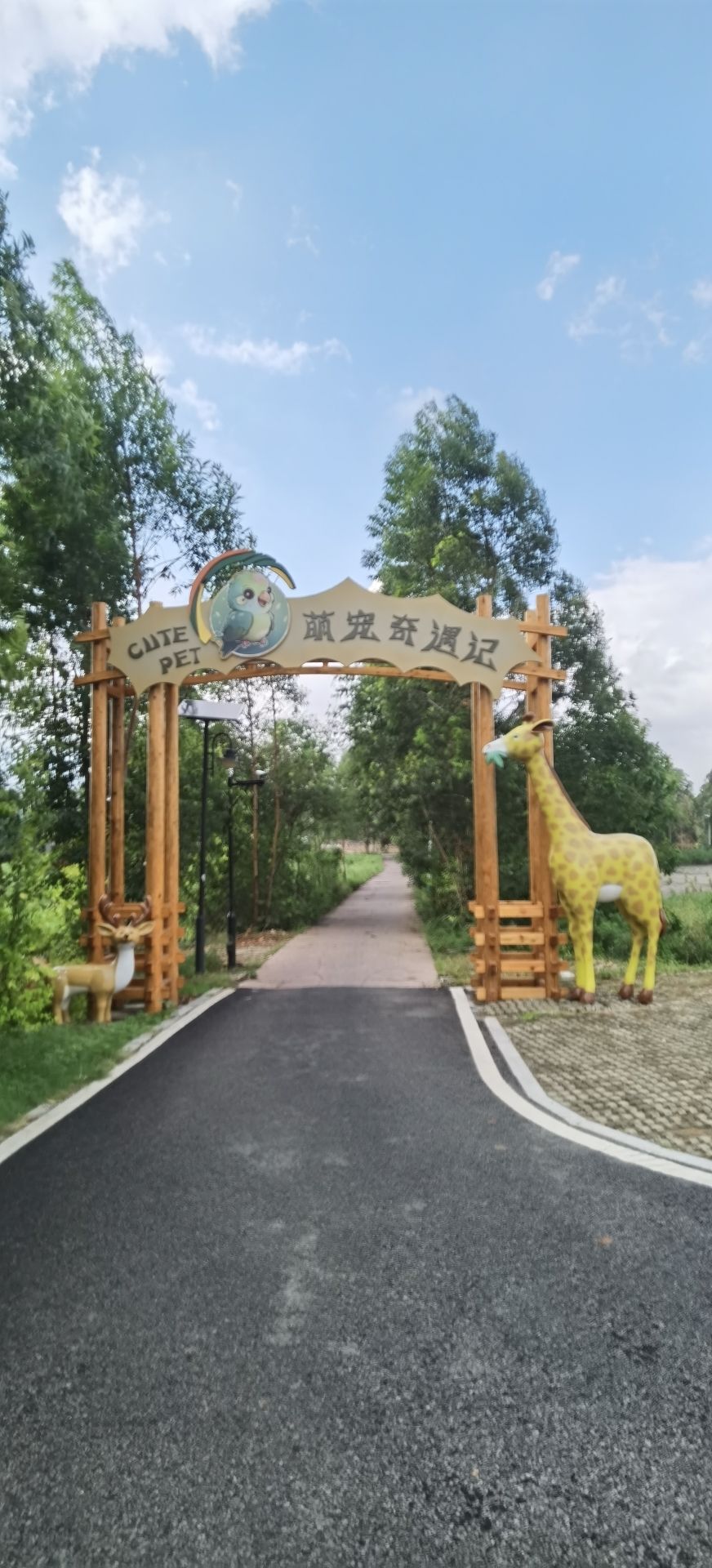 大盈溪休闲步道之芦花飞雪旅行图片 3